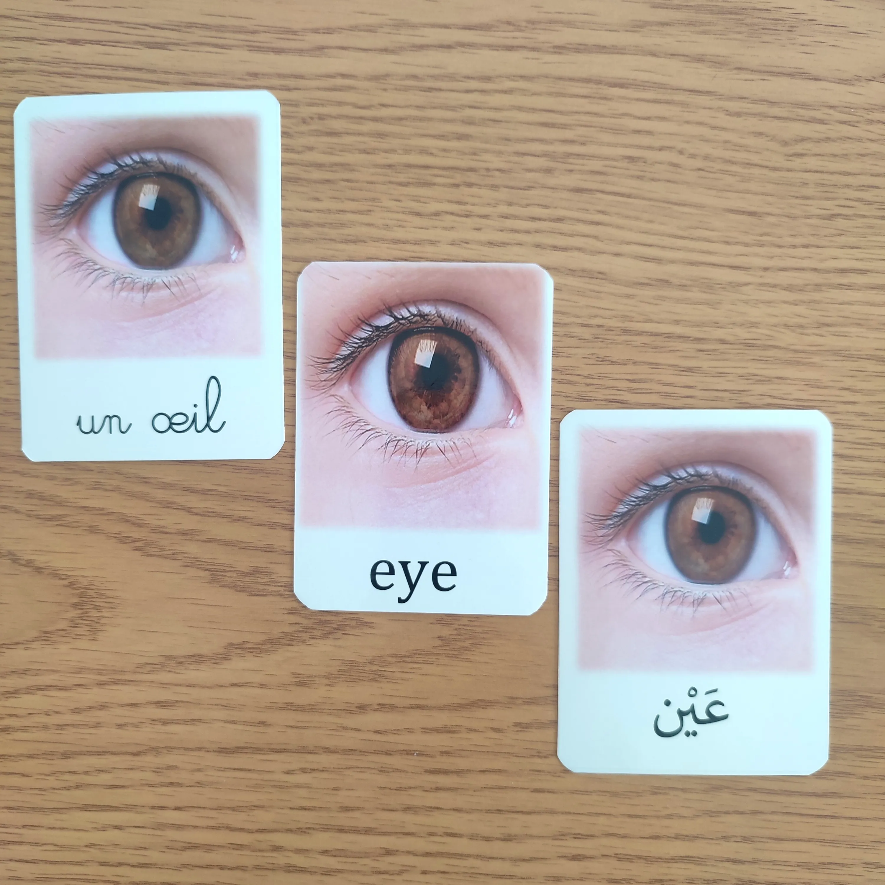 Pack de 200 cartes de nomenclature