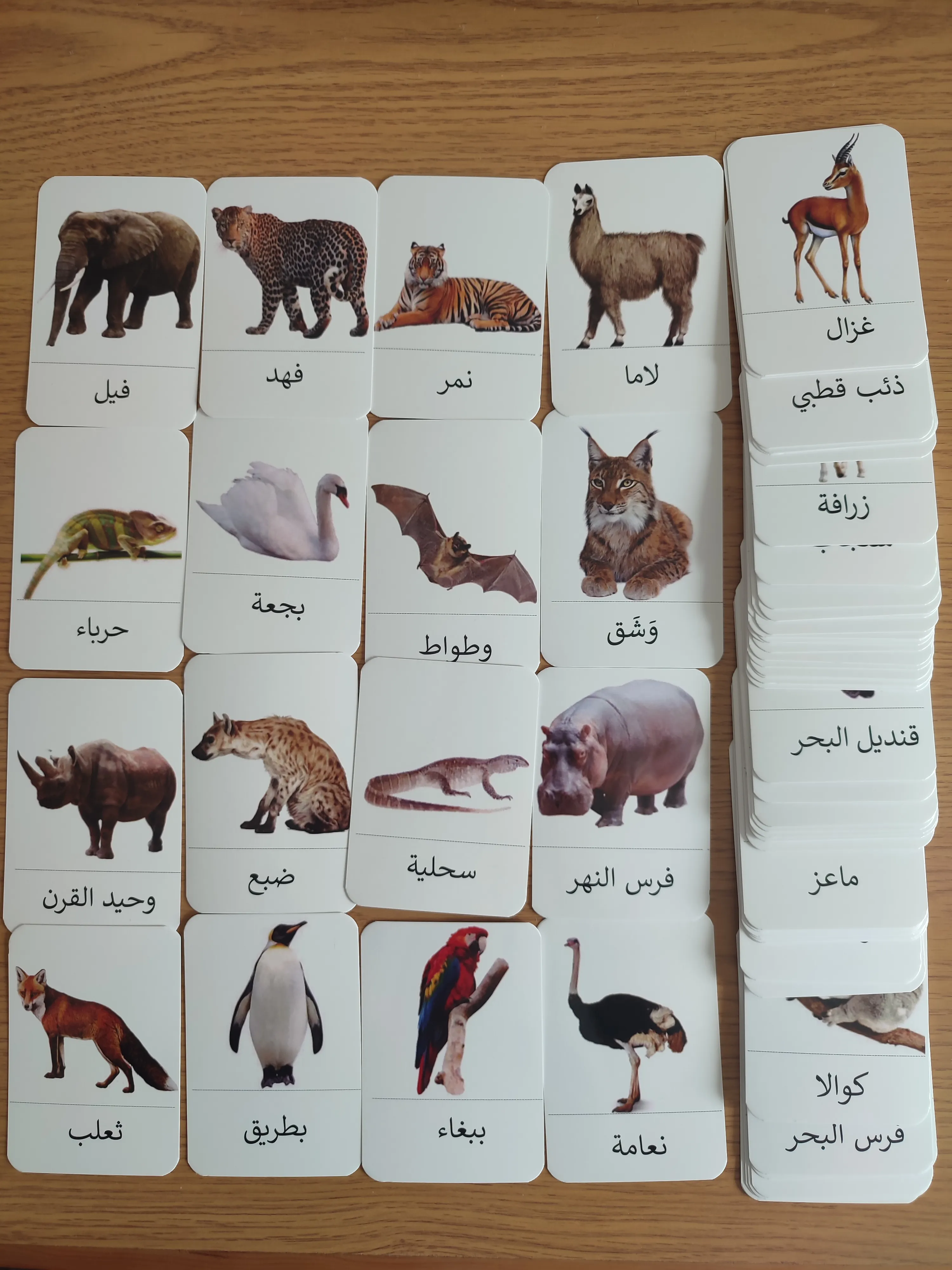 72 بطاقة الحيوانات