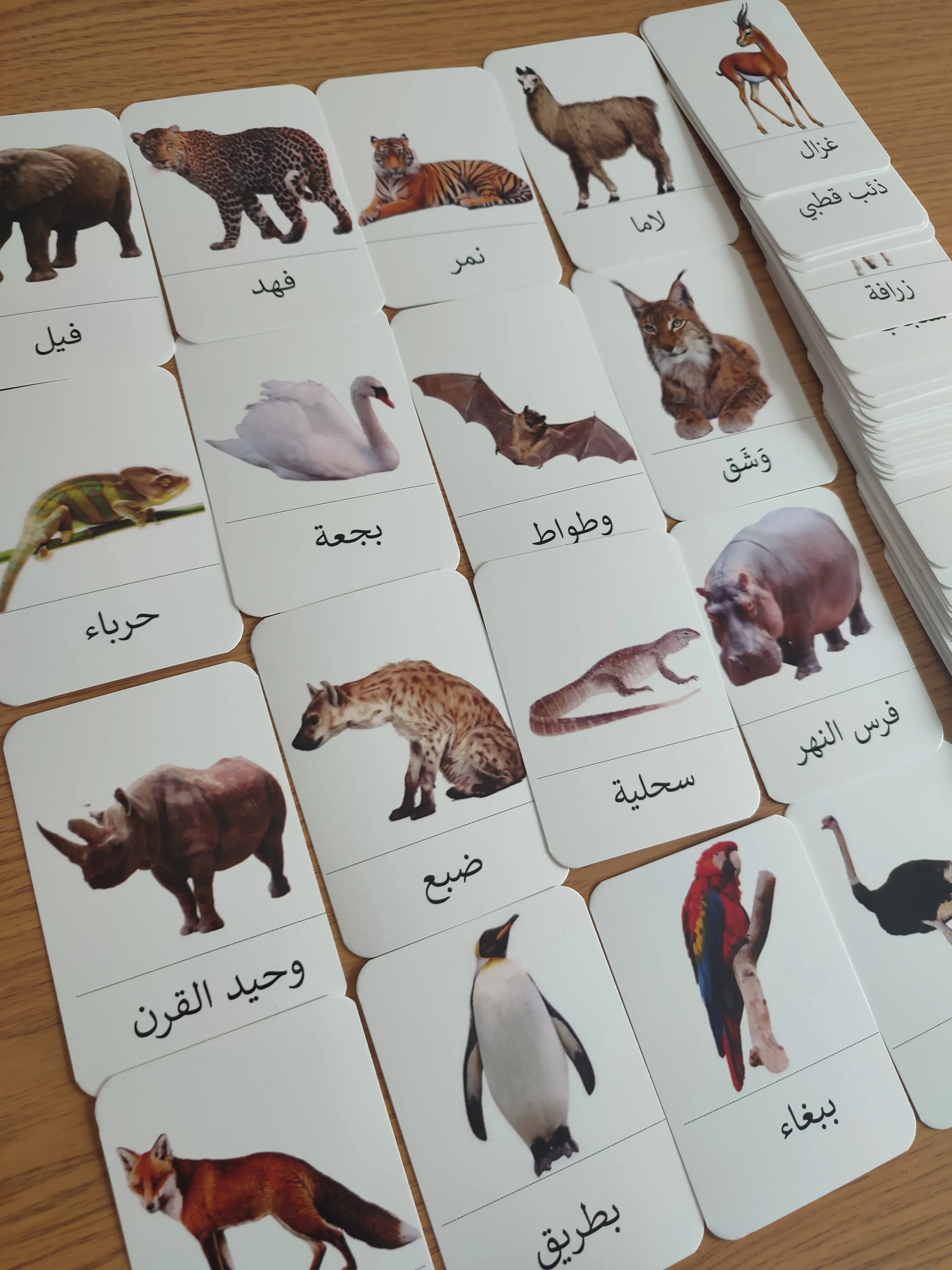 72 بطاقة الحيوانات