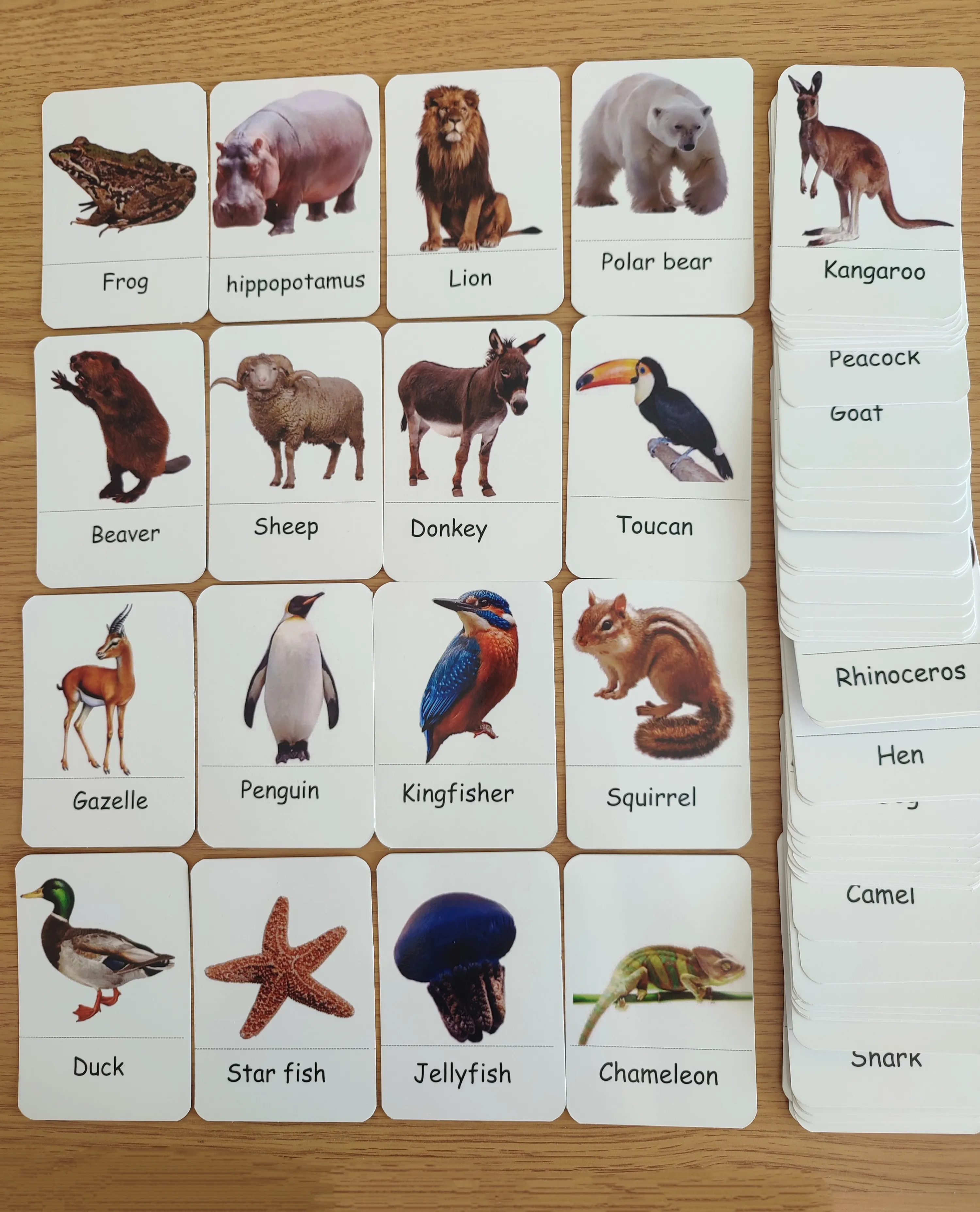 72 cards of animals