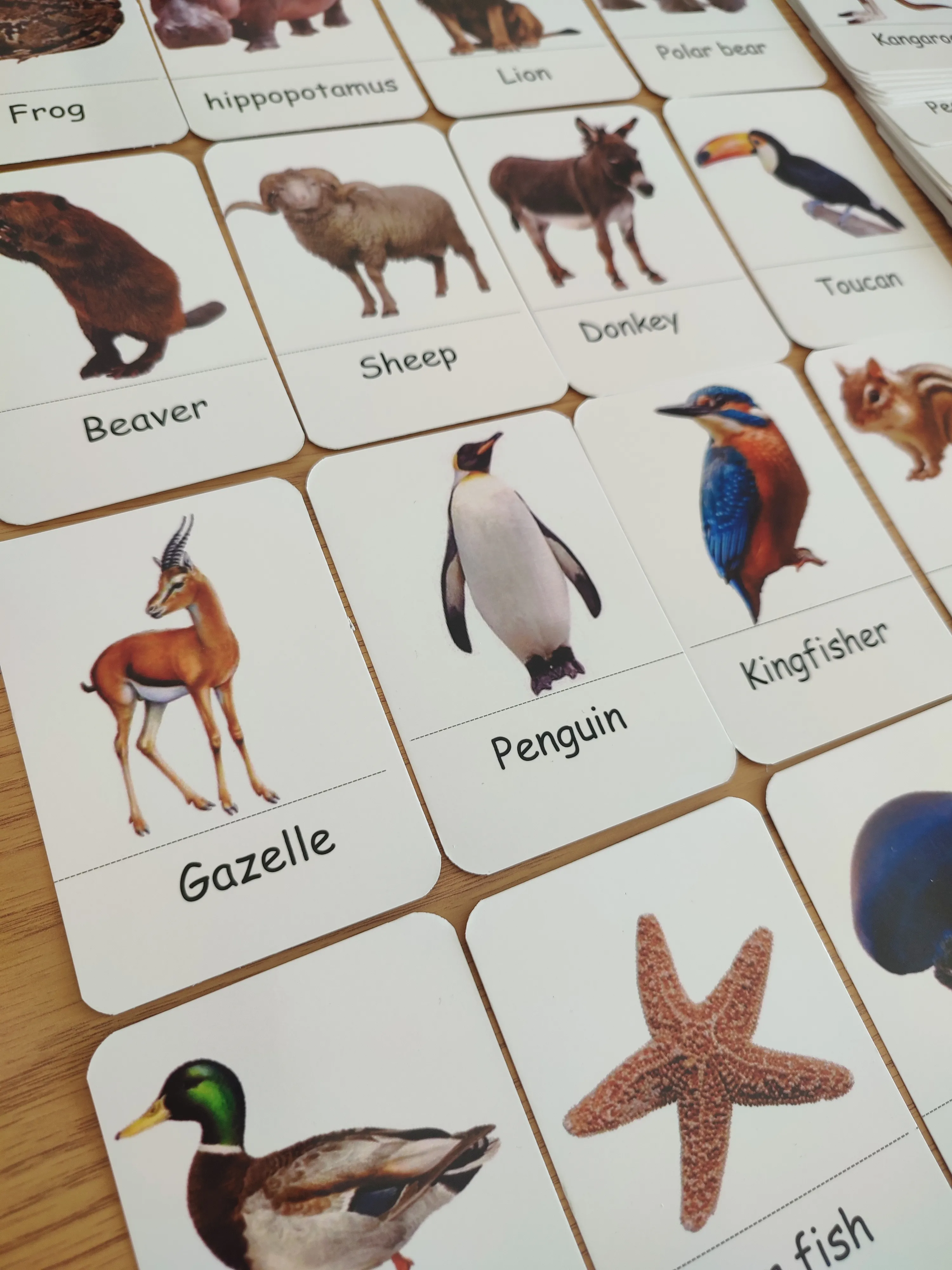 72 cards of animals