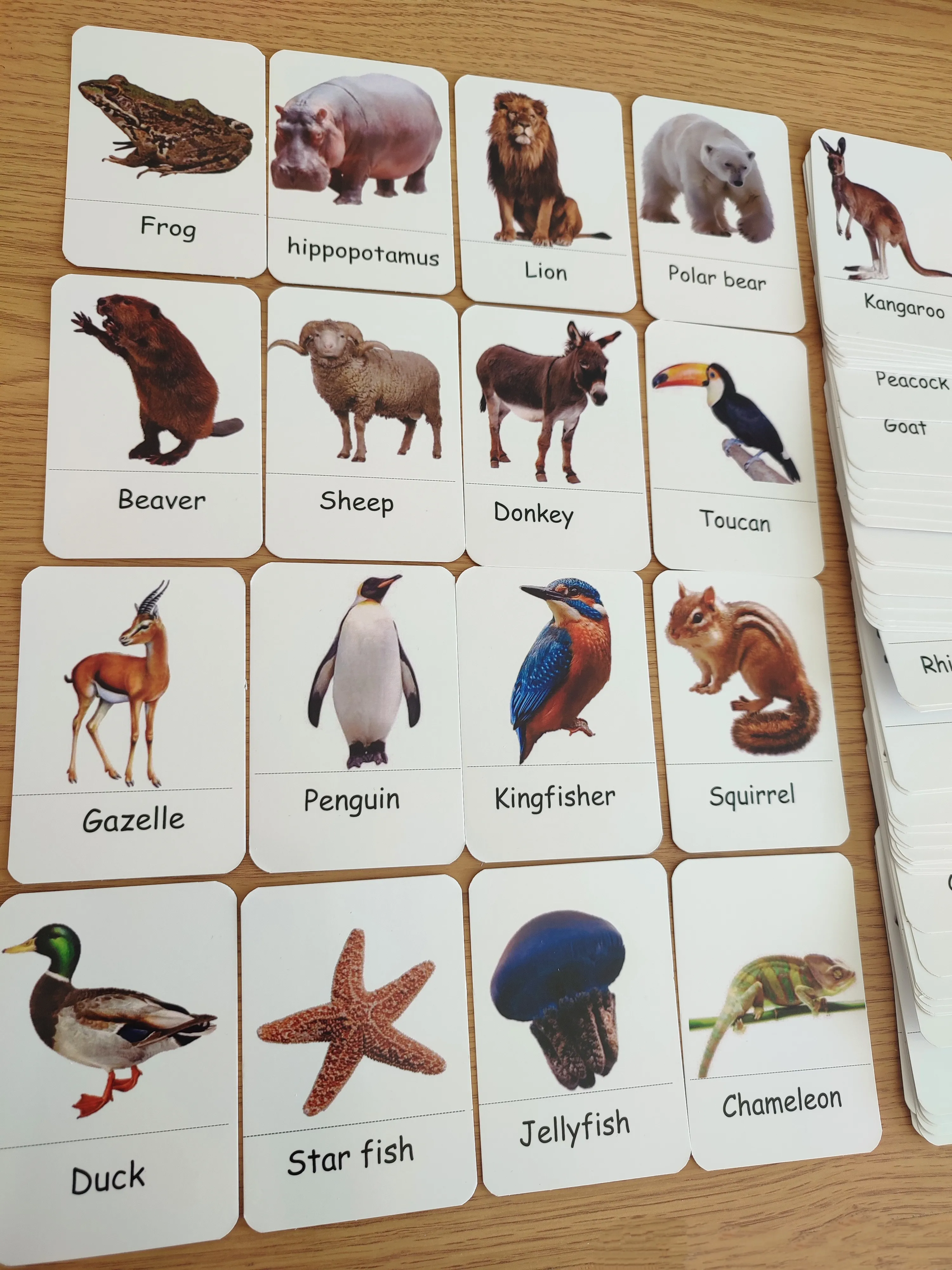72 cards of animals