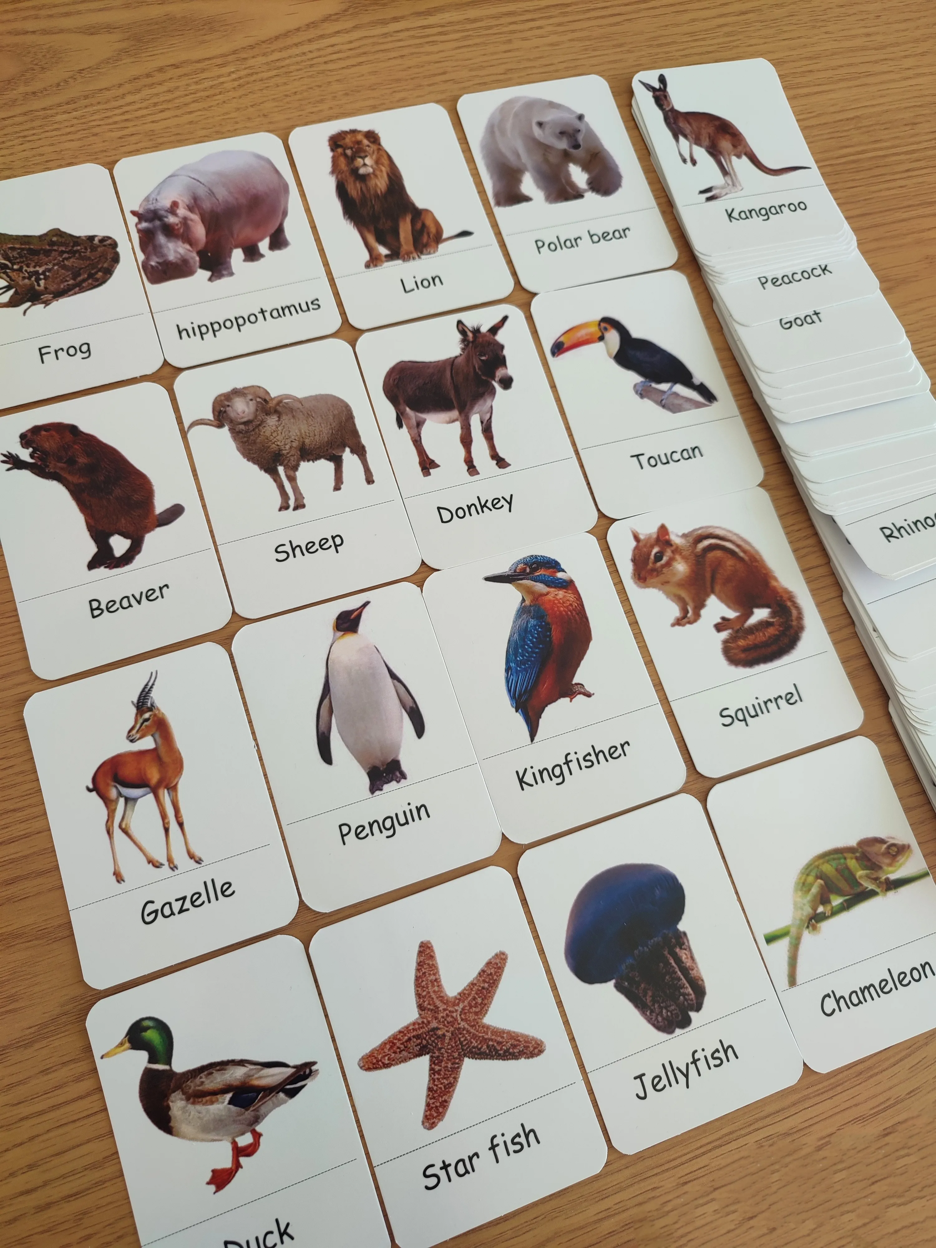 72 cards of animals