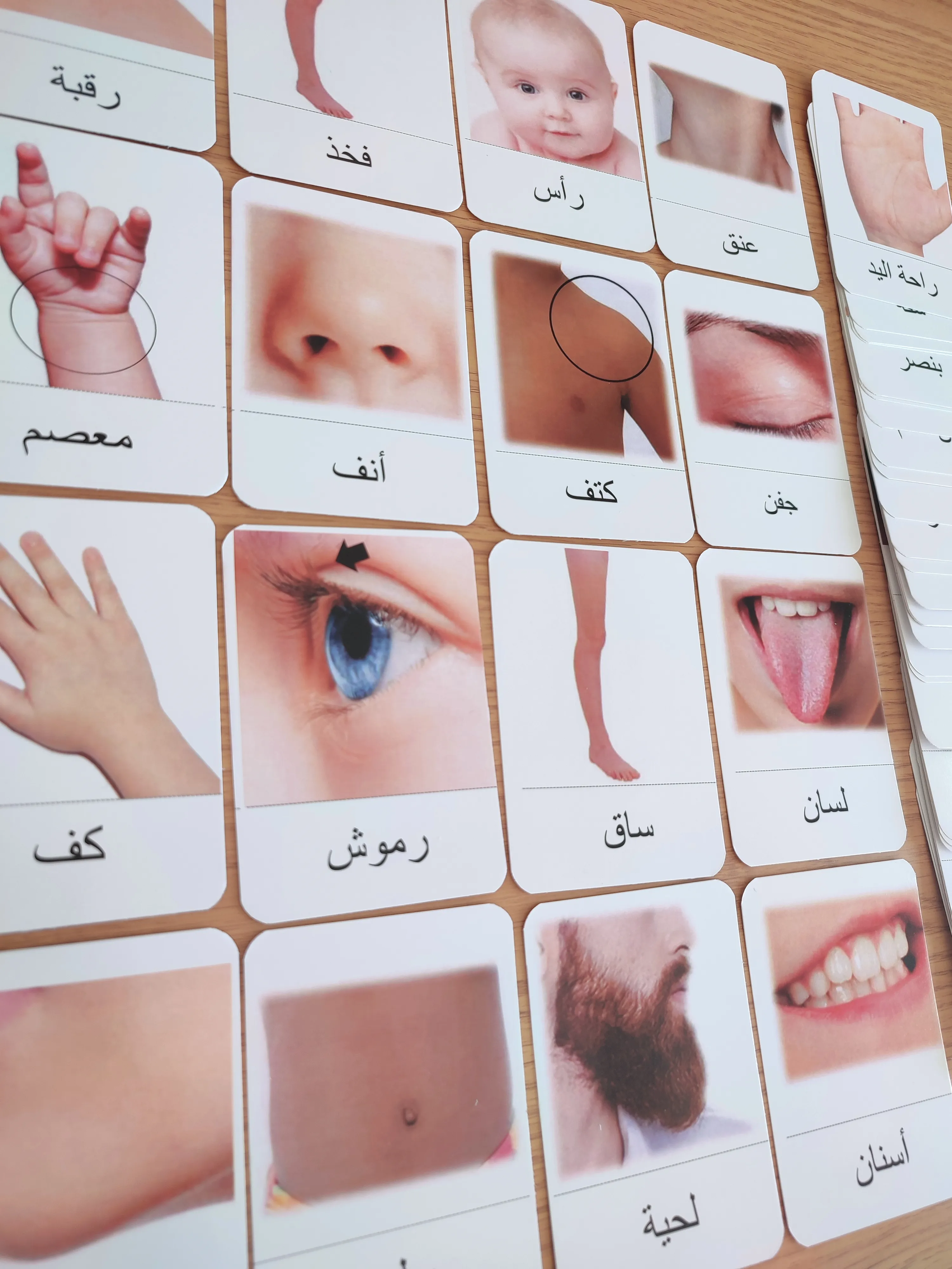 بطاقات جسم الإنسان
