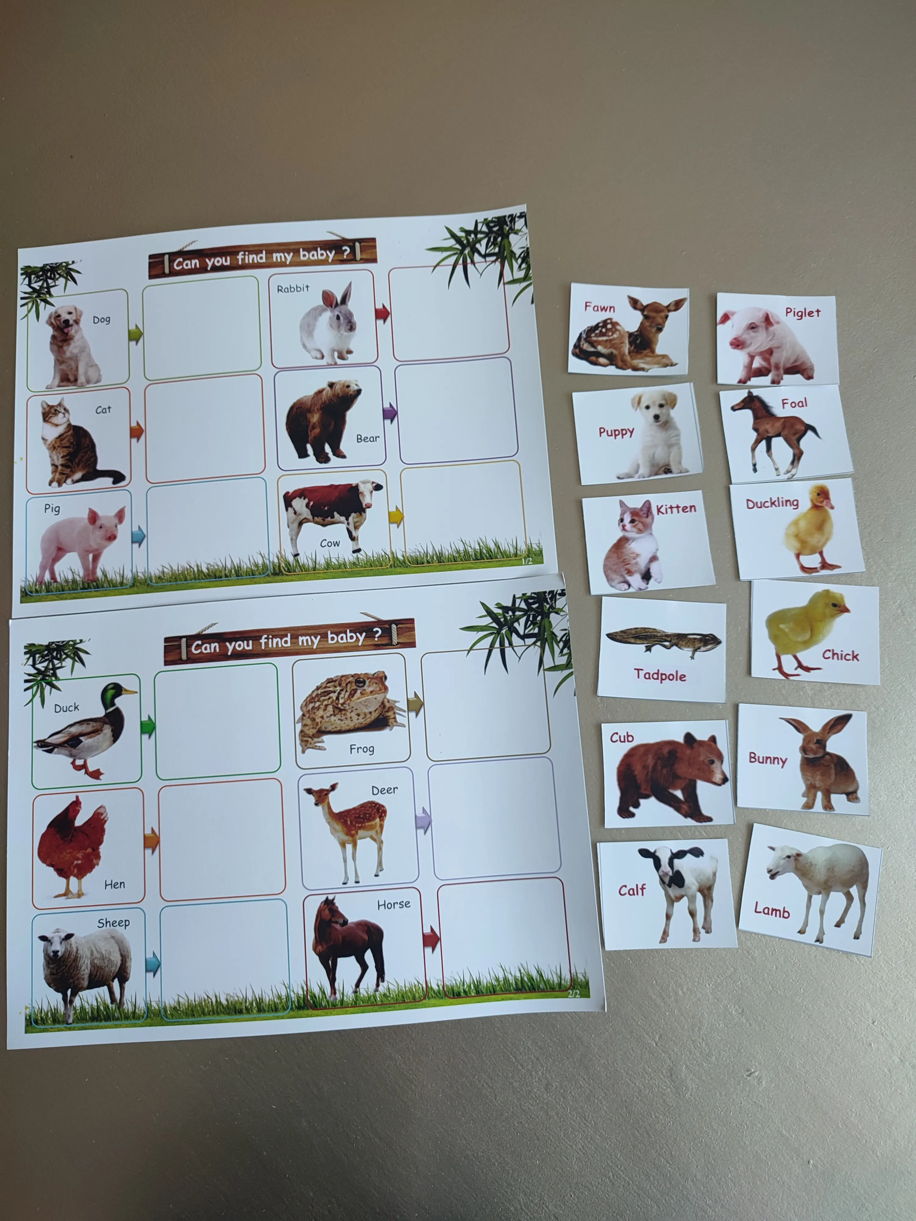 Montessori box of animals (english)