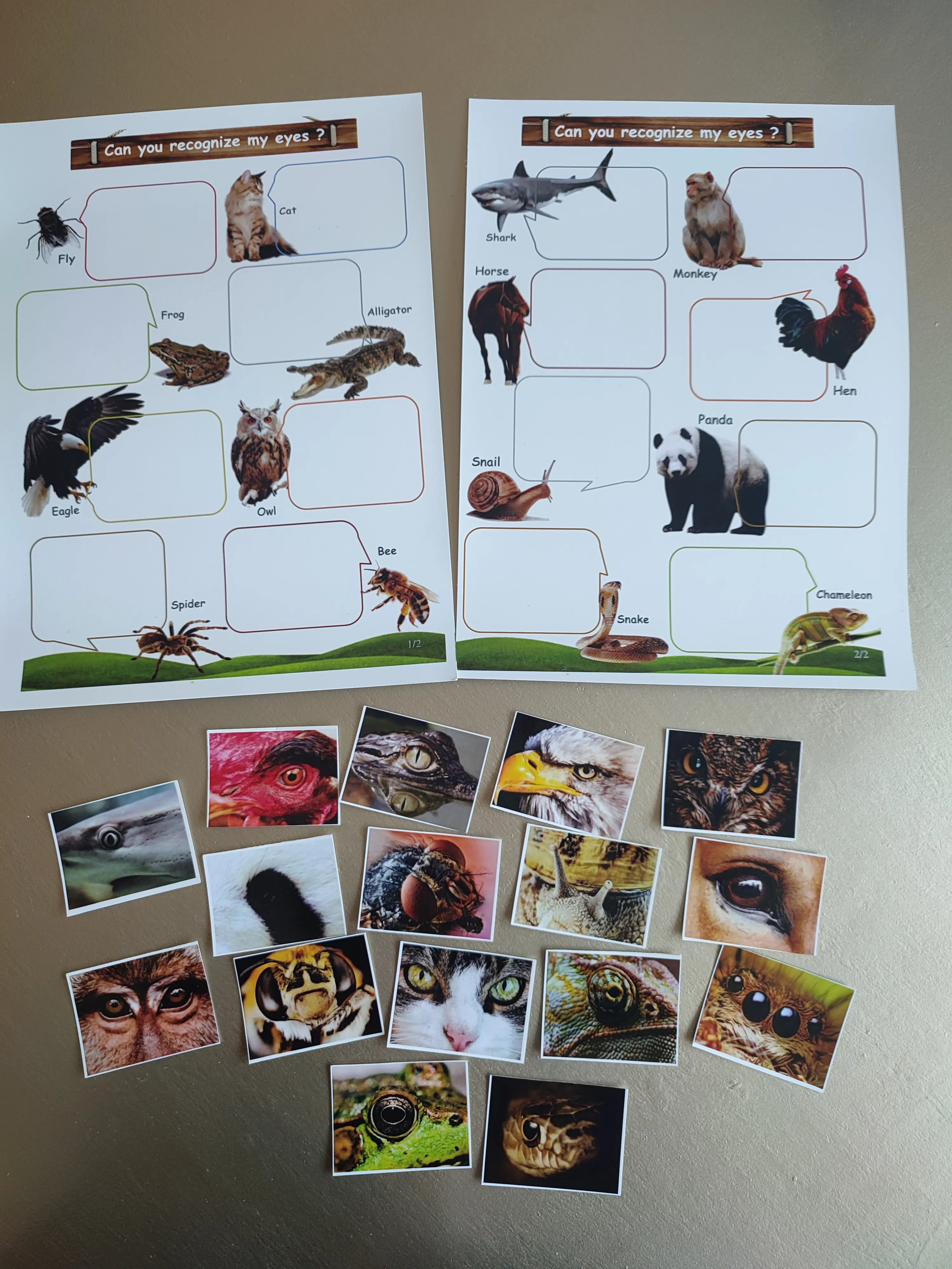 Montessori box of animals (english)