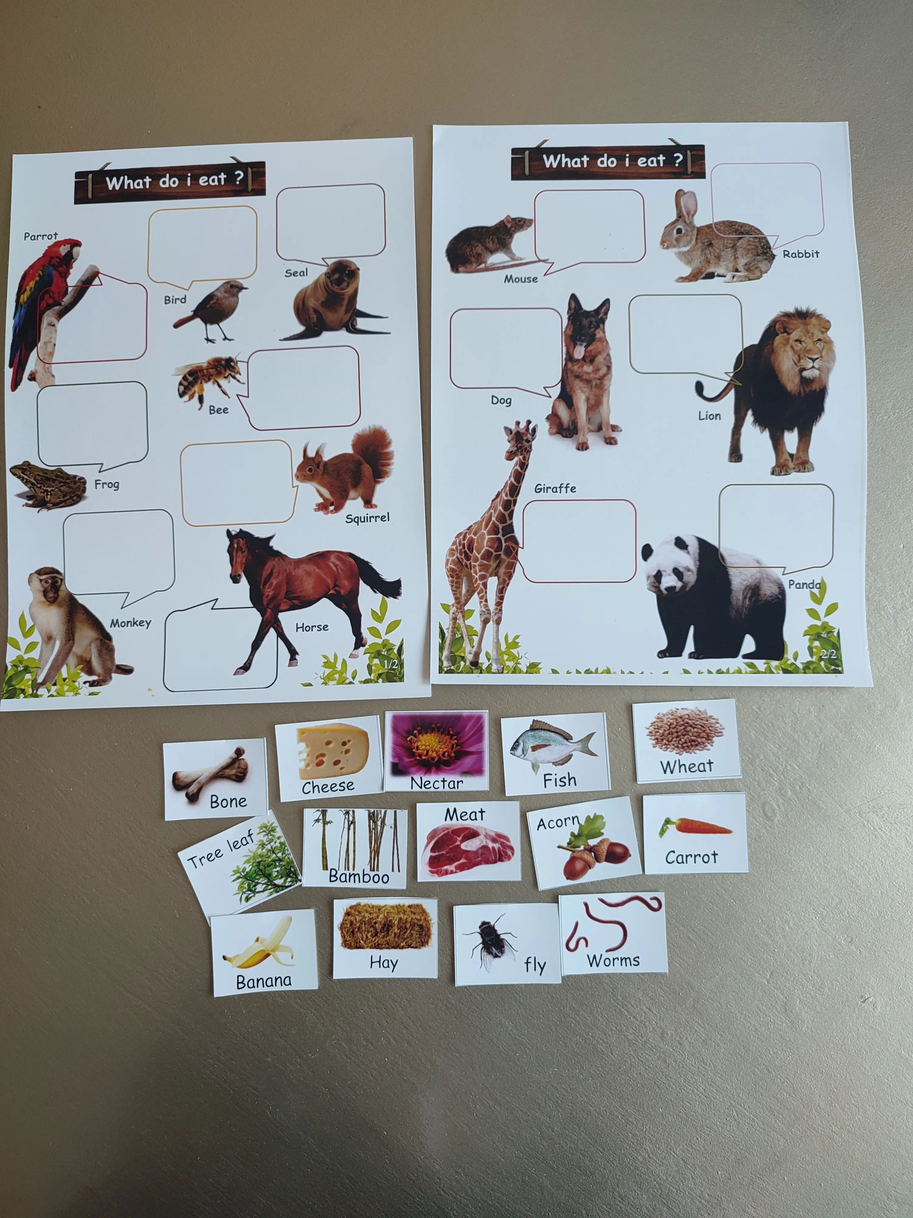 Montessori box of animals (english)