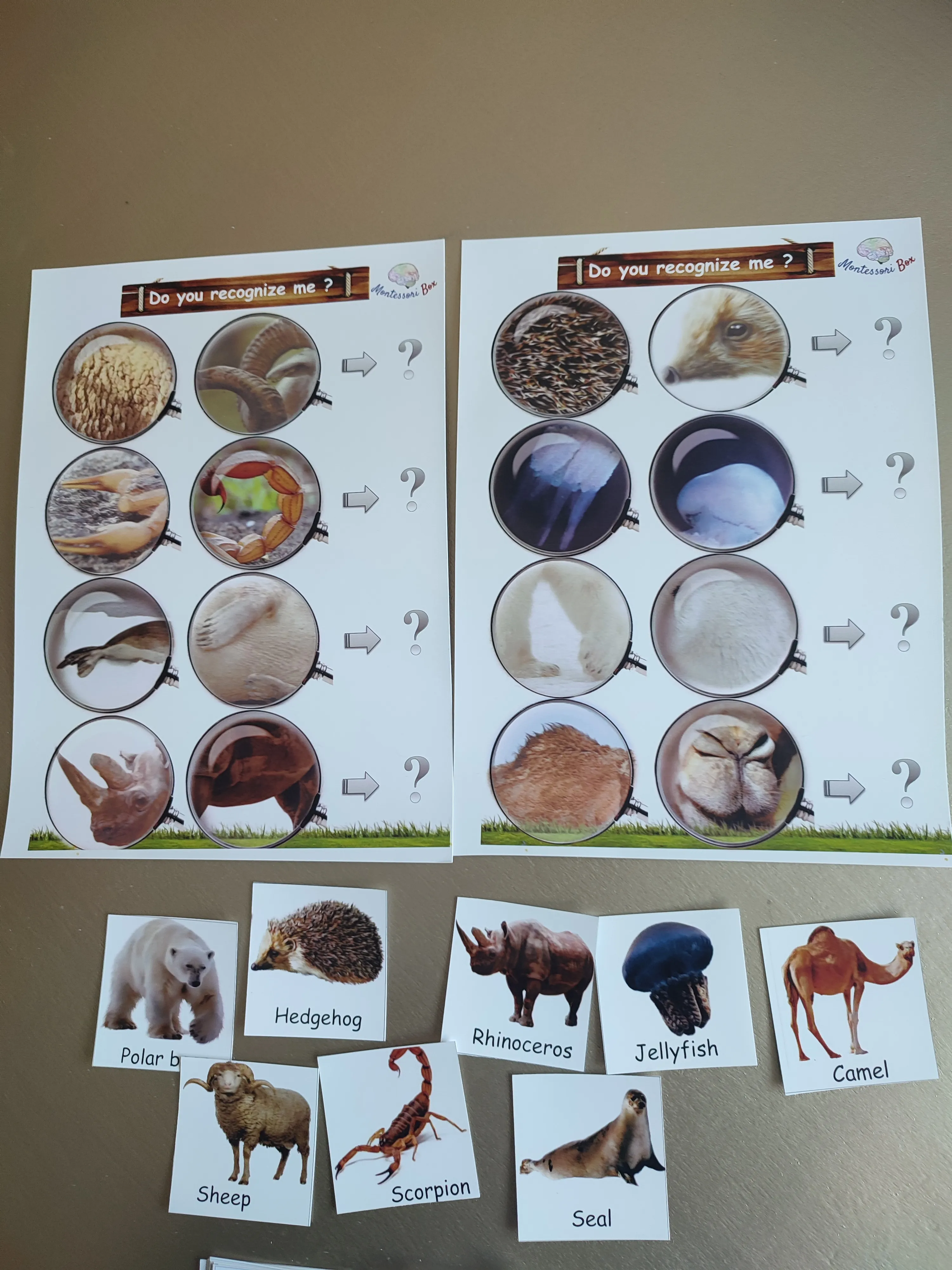 Montessori box of animals (english)