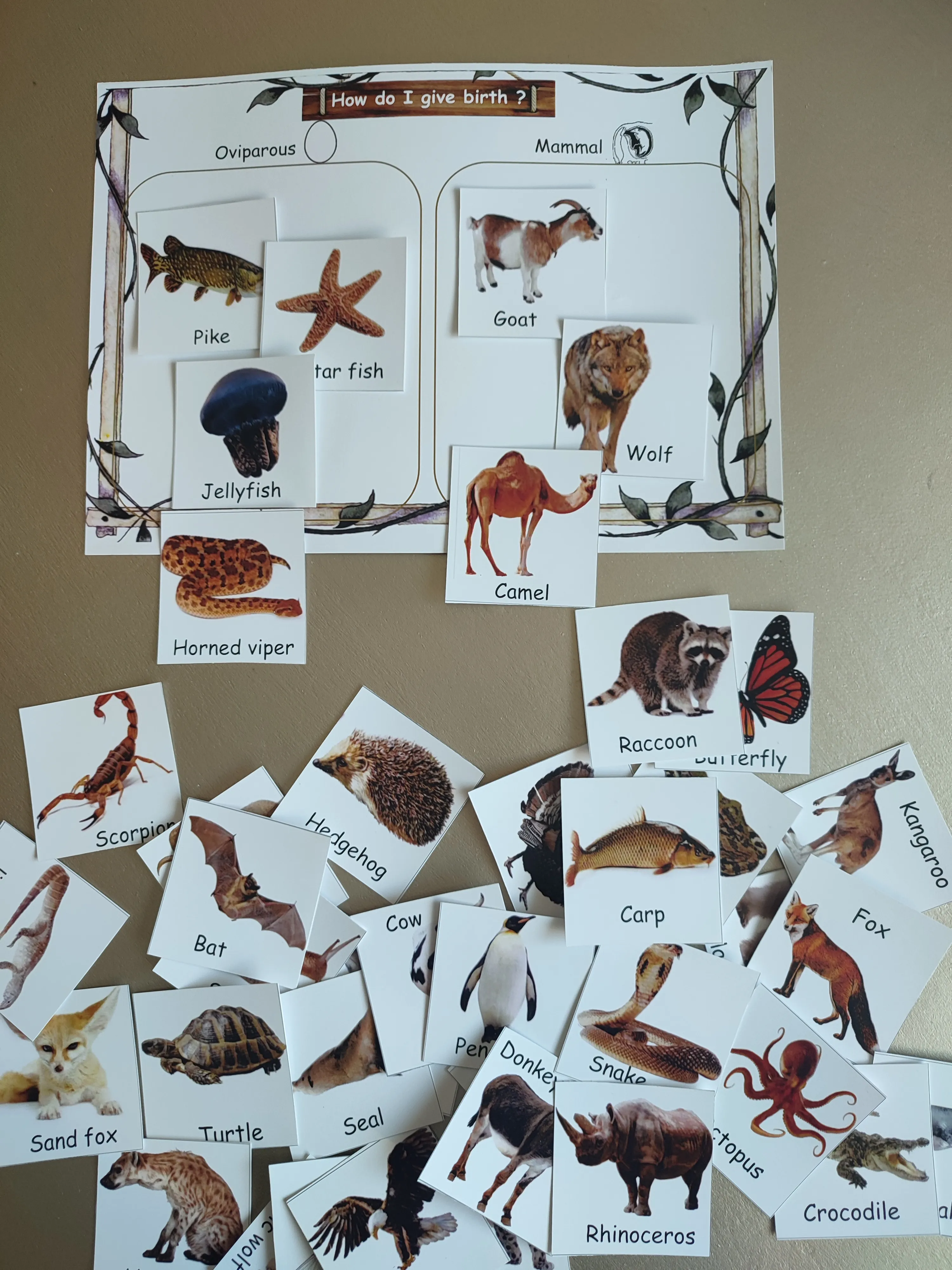 Montessori box of animals (english)