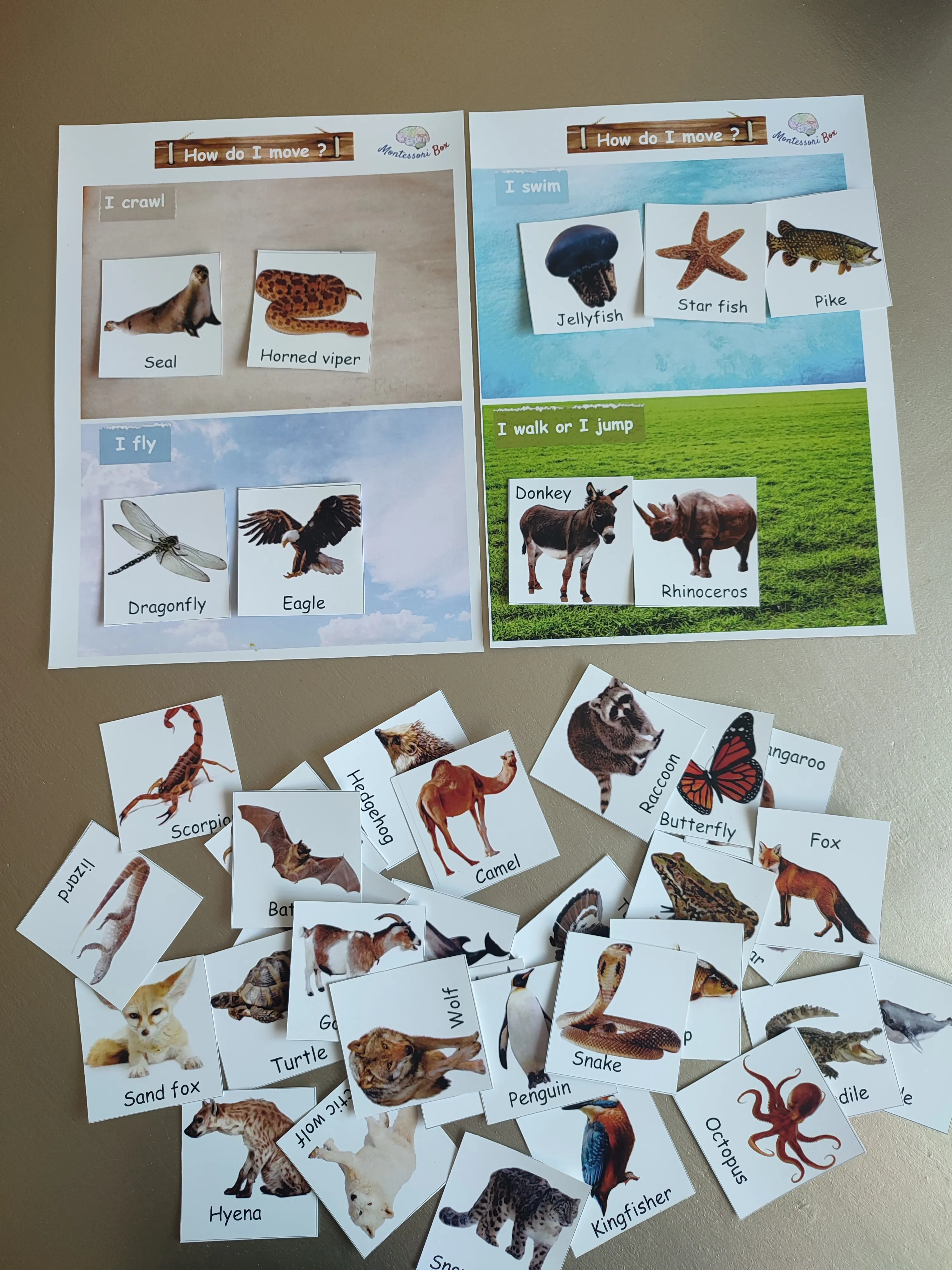 Montessori box of animals (english)
