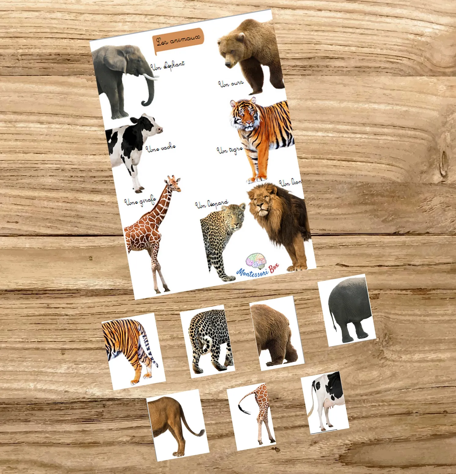 Montessori box 3 ans
