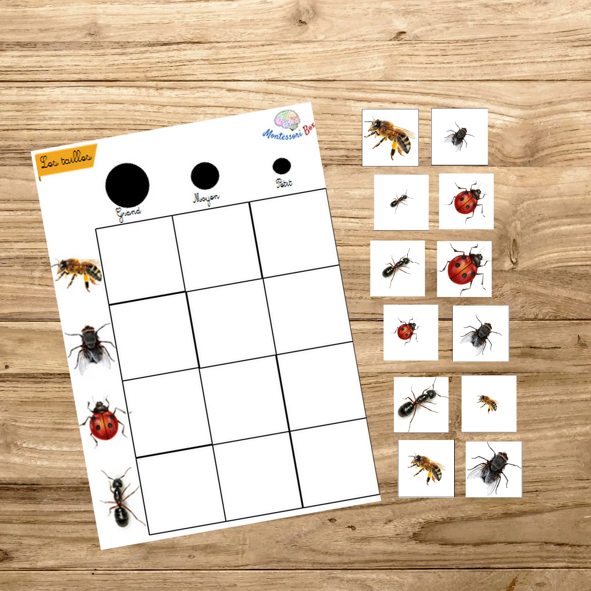 Montessori box 3 ans