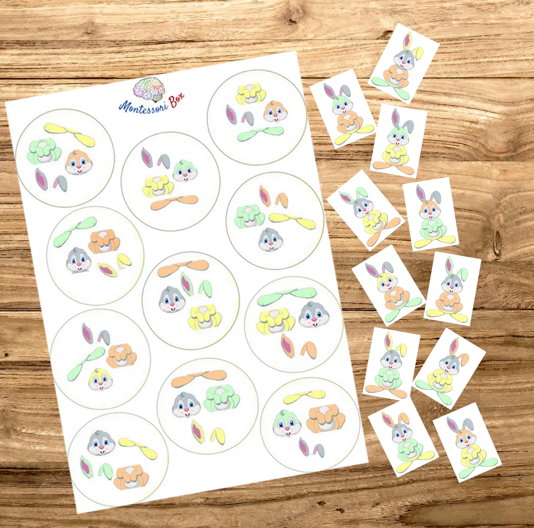 Montessori box de discrimination visuelle 