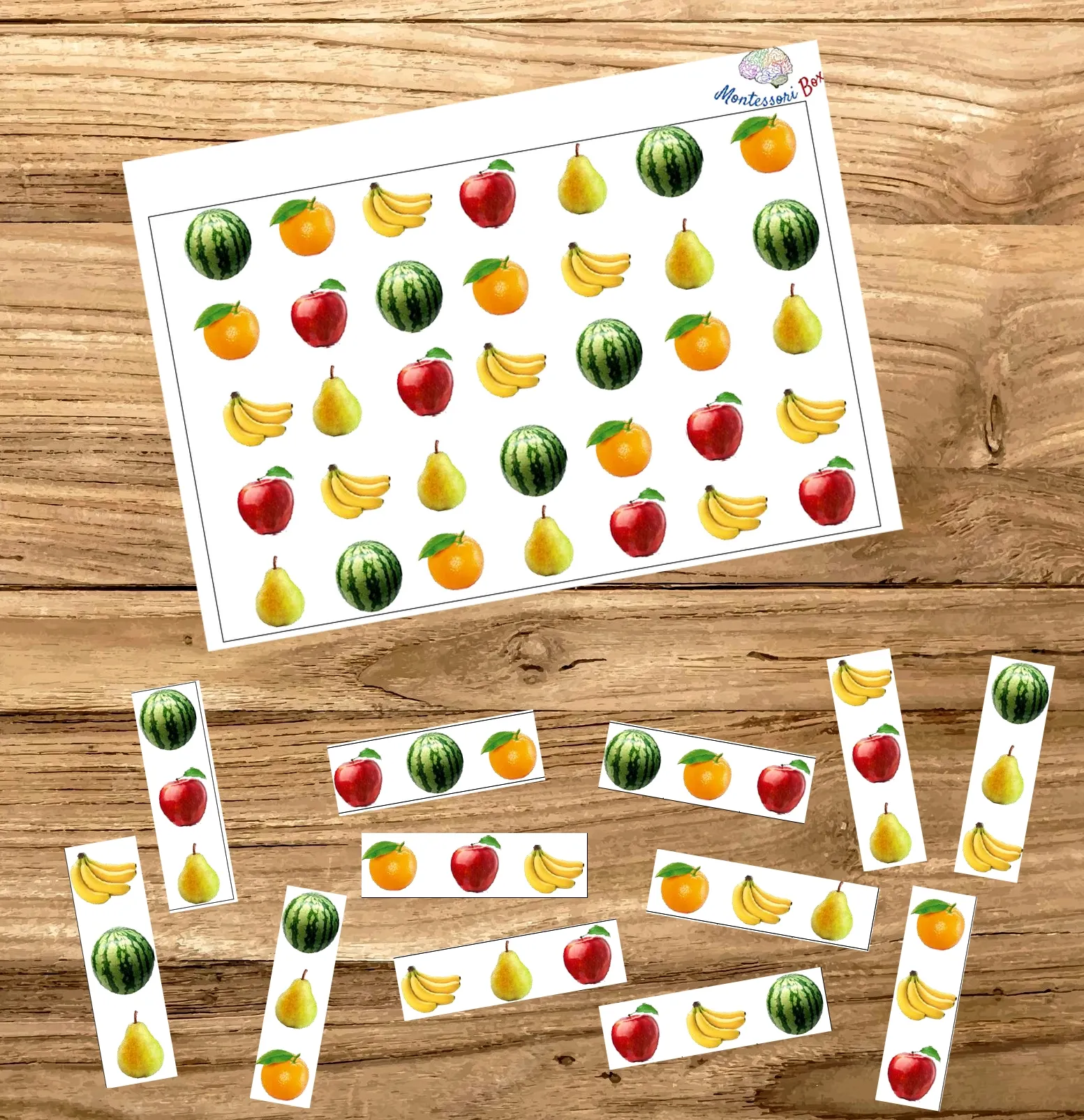 Montessori box de discrimination visuelle 