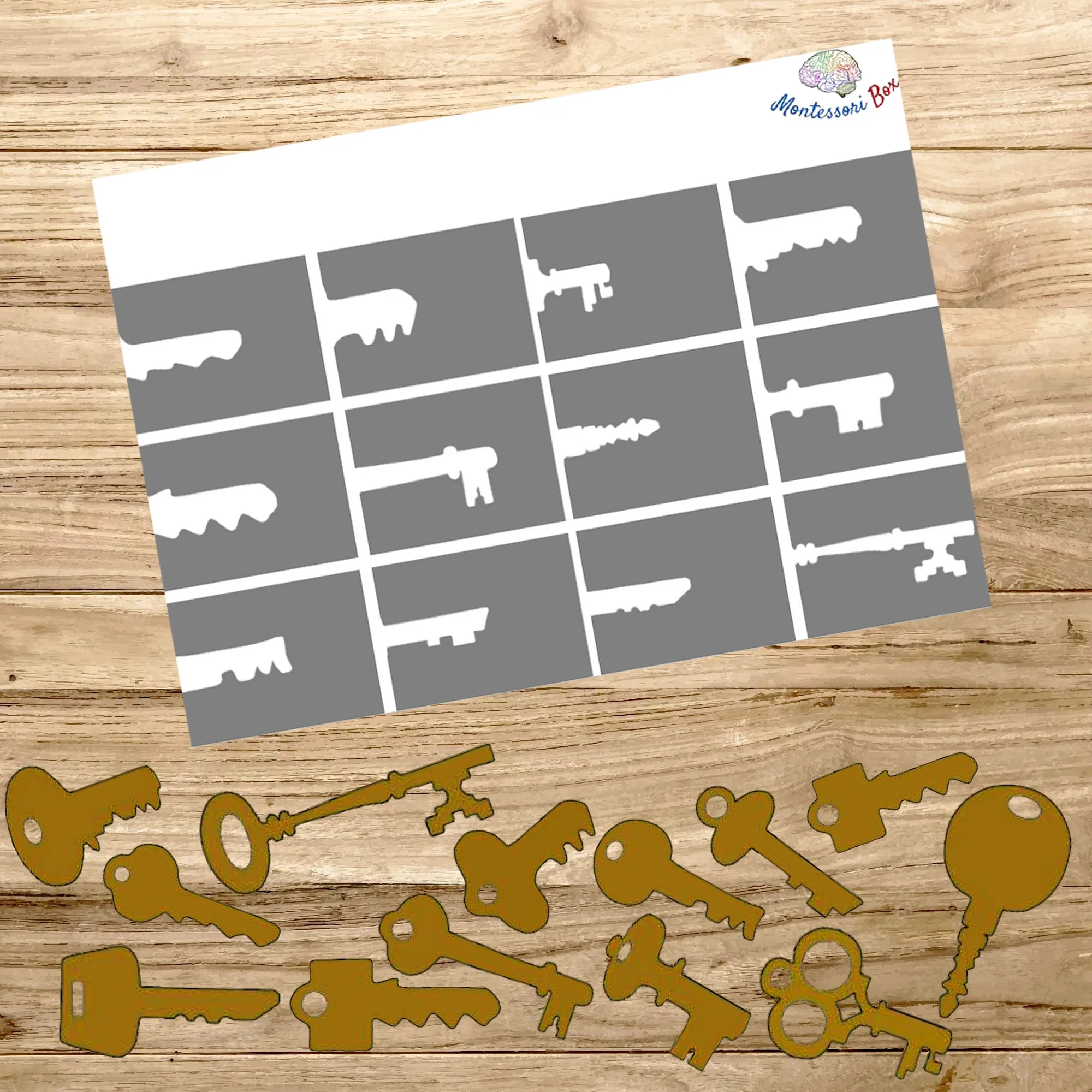 Montessori box de discrimination visuelle 