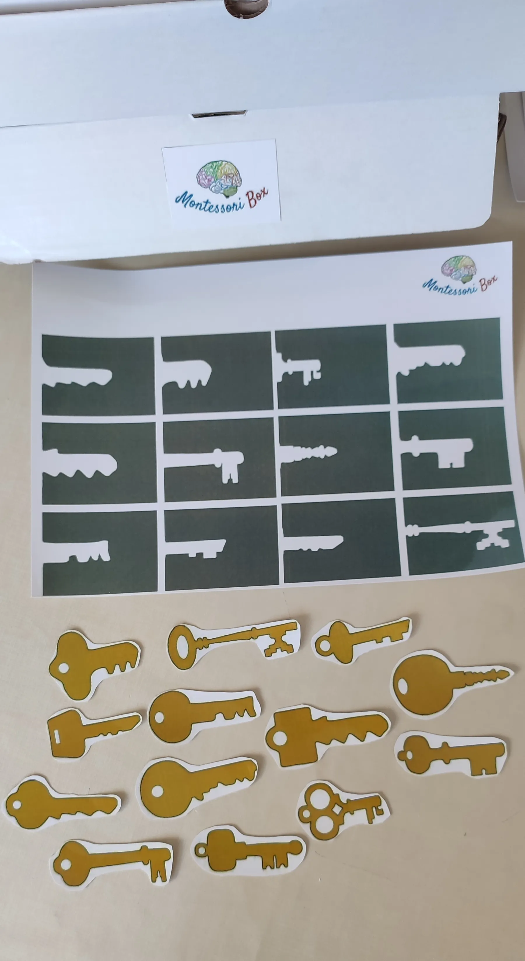 Montessori box de discrimination visuelle 