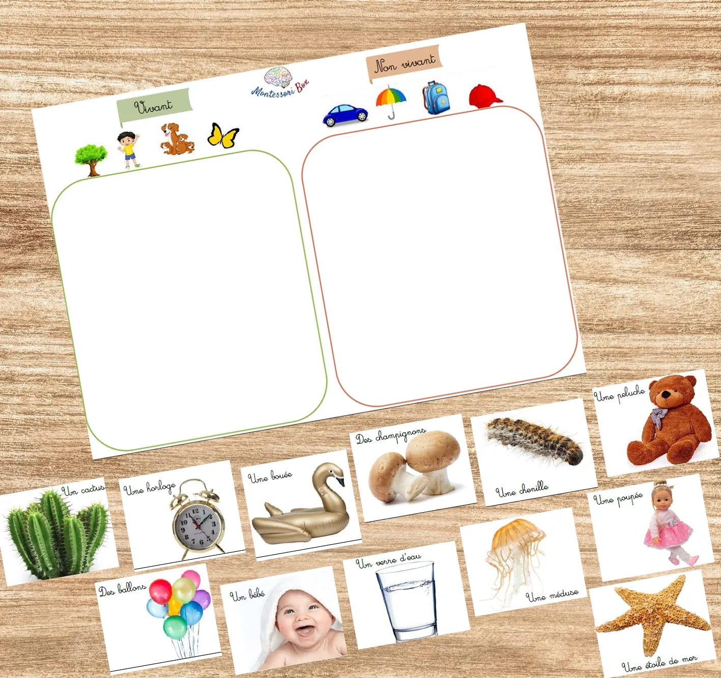 Montessori box de logique 3-6 ans  