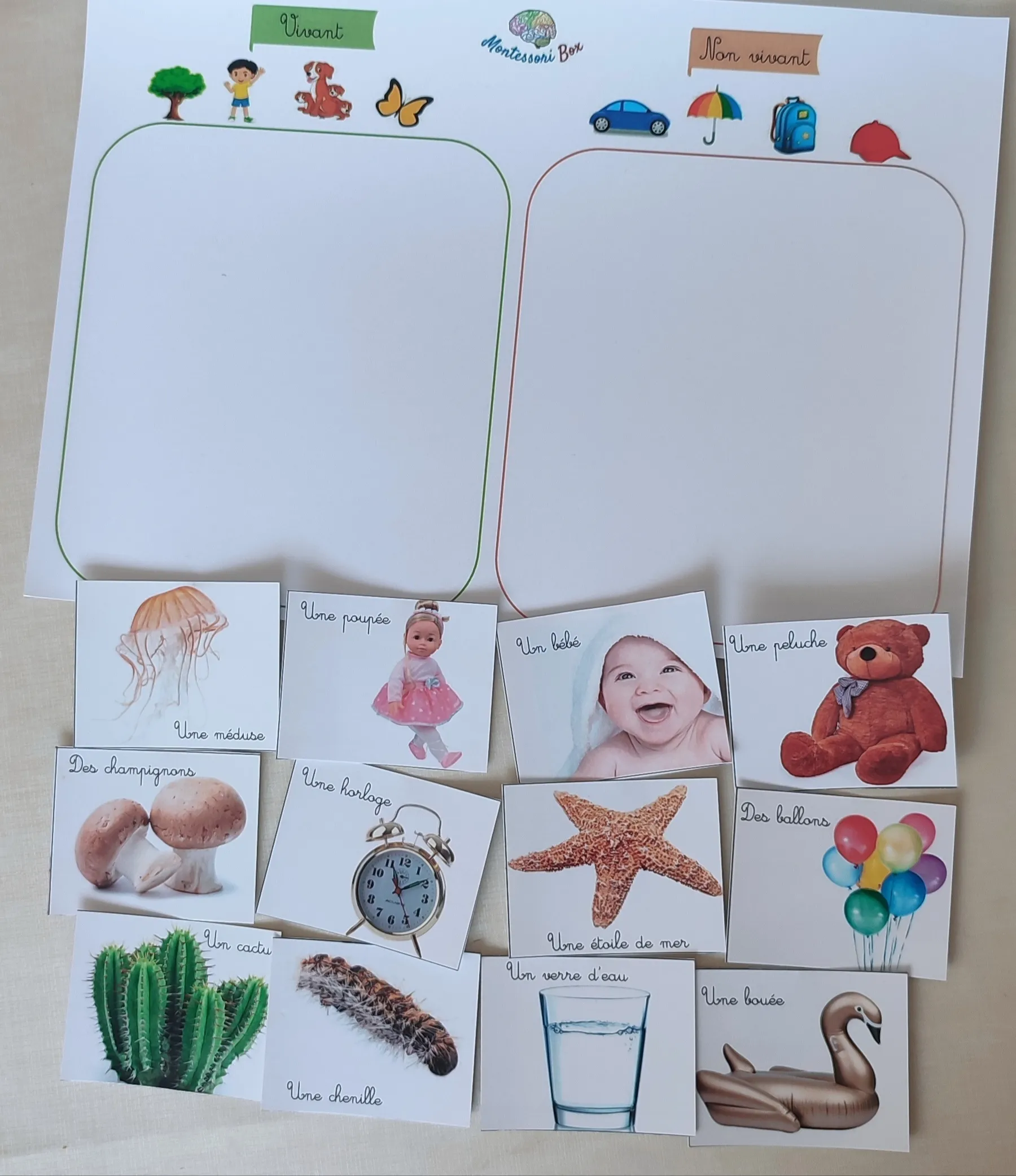 Montessori box de logique 3-6 ans  