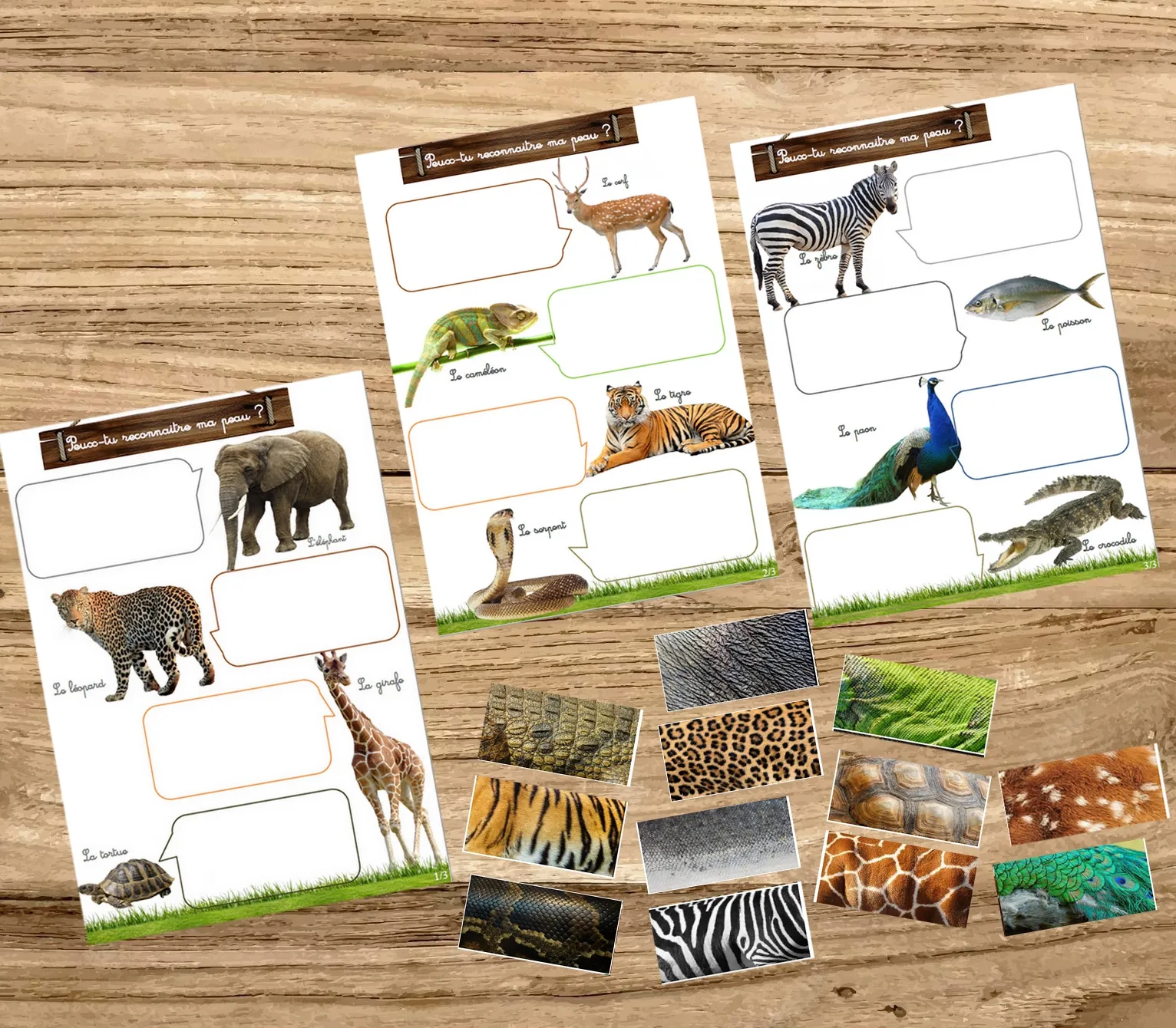 Montessori box des animaux  3-6 ans 