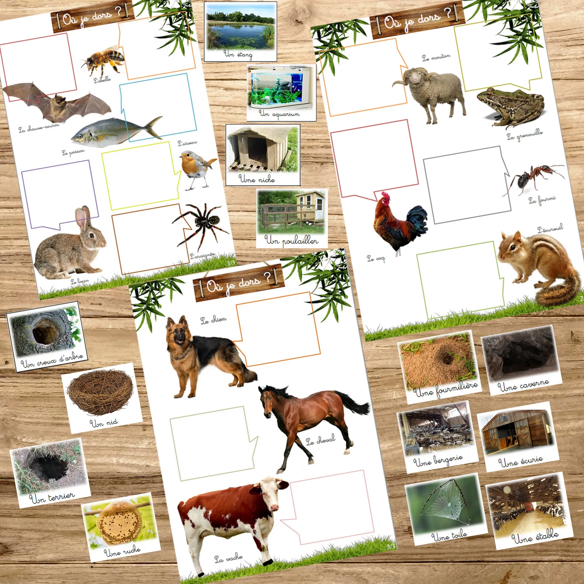 Montessori box des animaux  3-6 ans 
