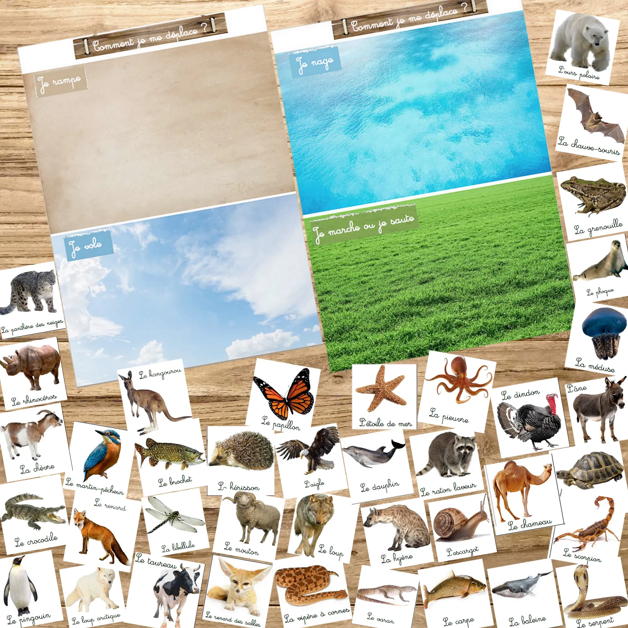 Montessori box des animaux  3-6 ans 
