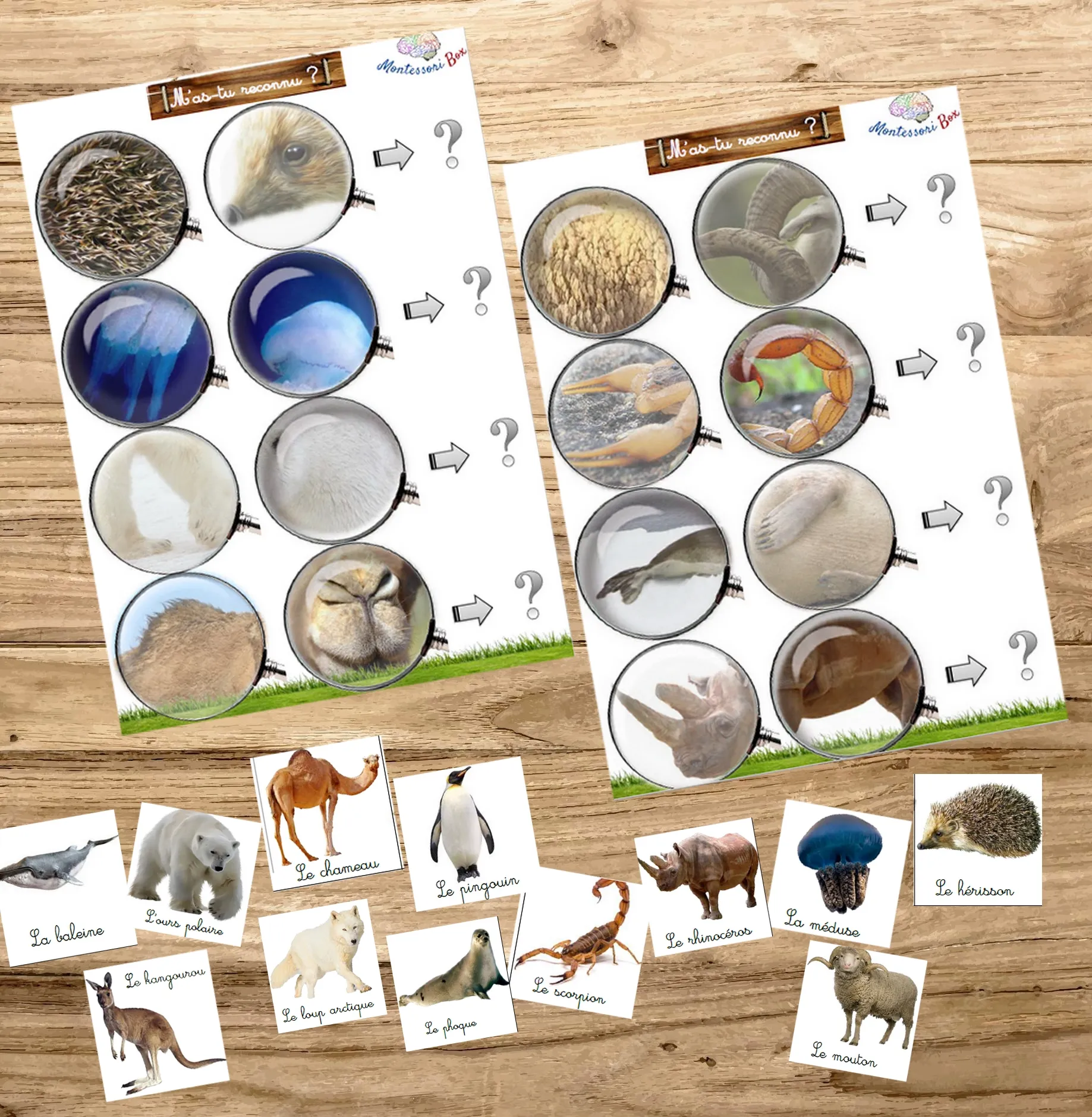 Montessori box des animaux  3-6 ans 