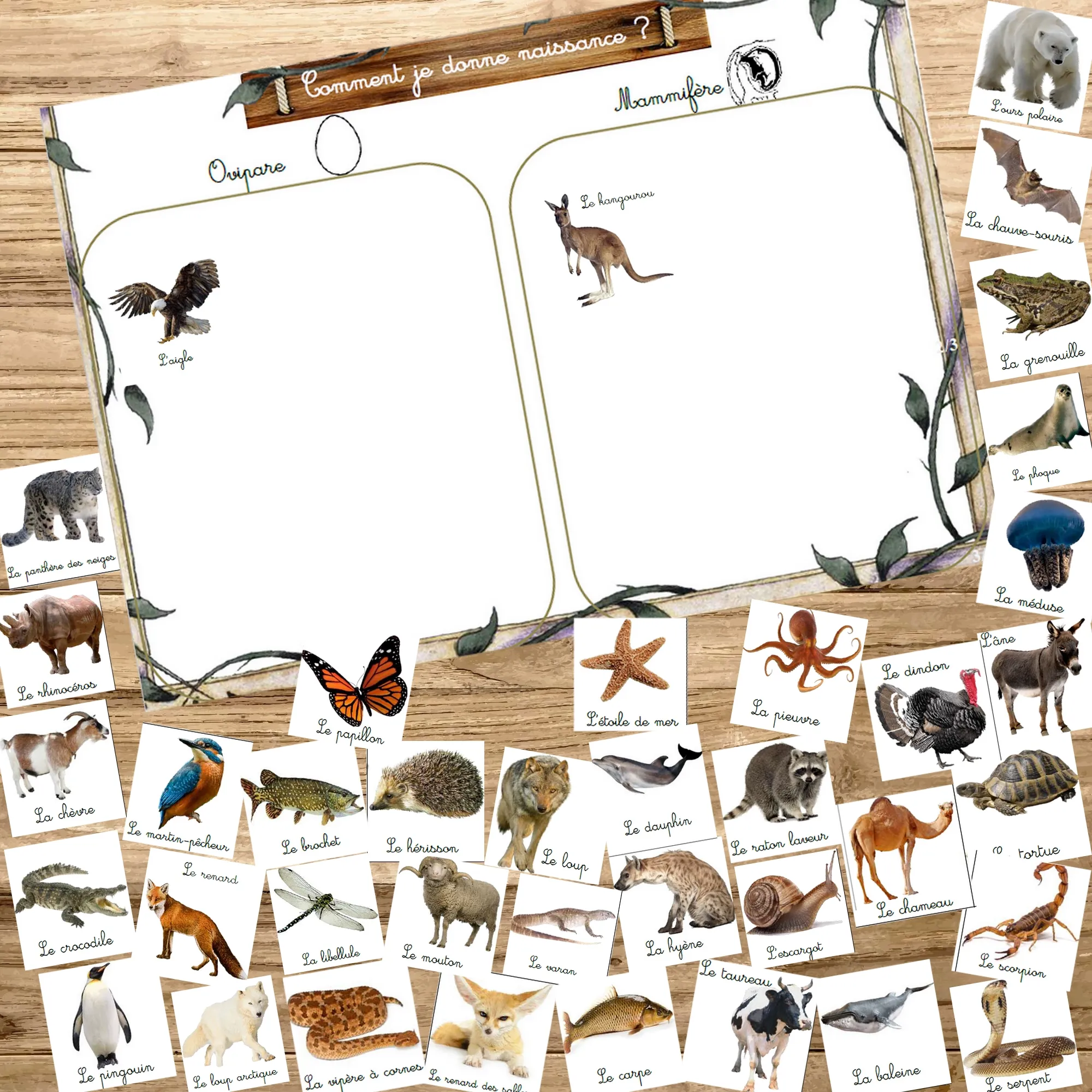 Montessori box des animaux  3-6 ans 