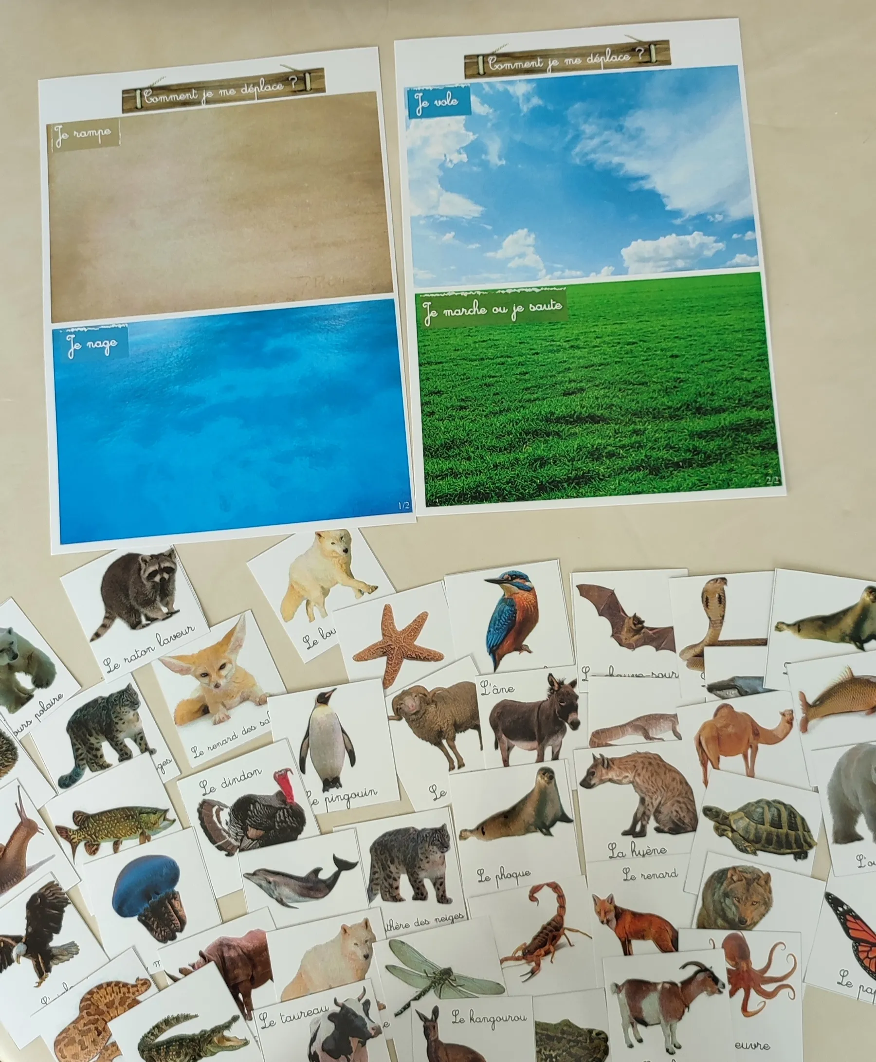 Montessori box des animaux  3-6 ans 