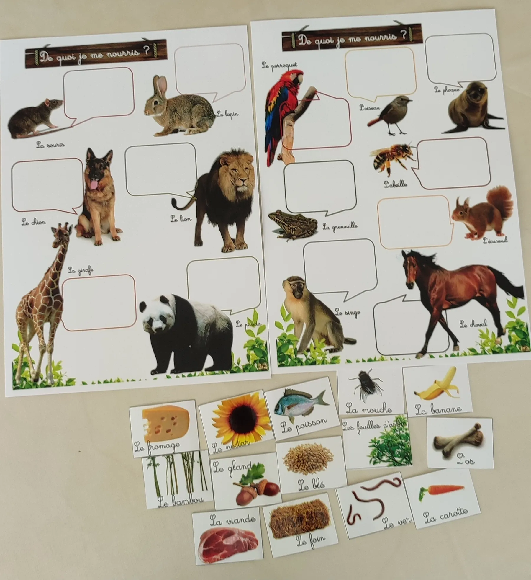 Montessori box des animaux  3-6 ans 