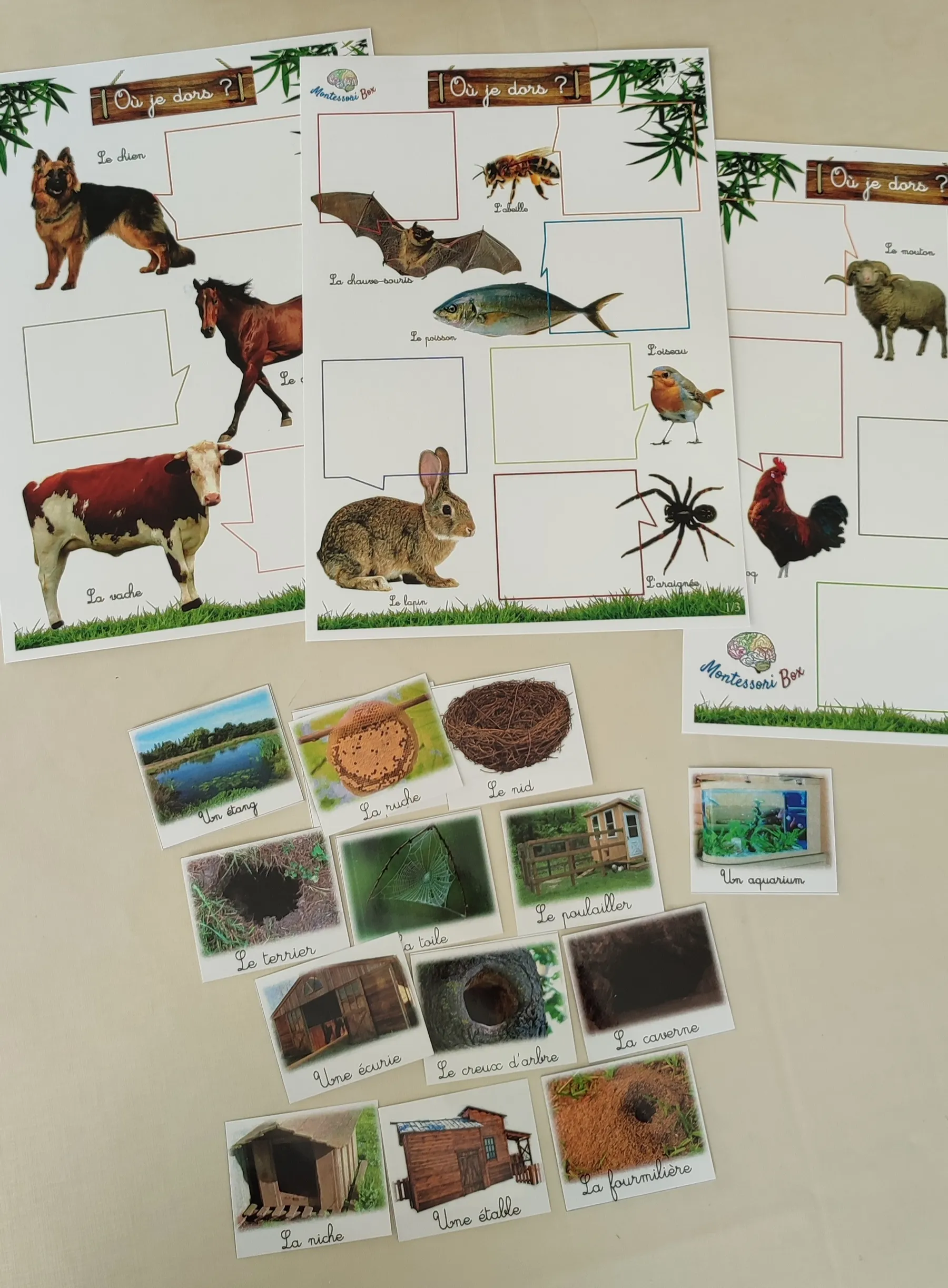 Montessori box des animaux  3-6 ans 