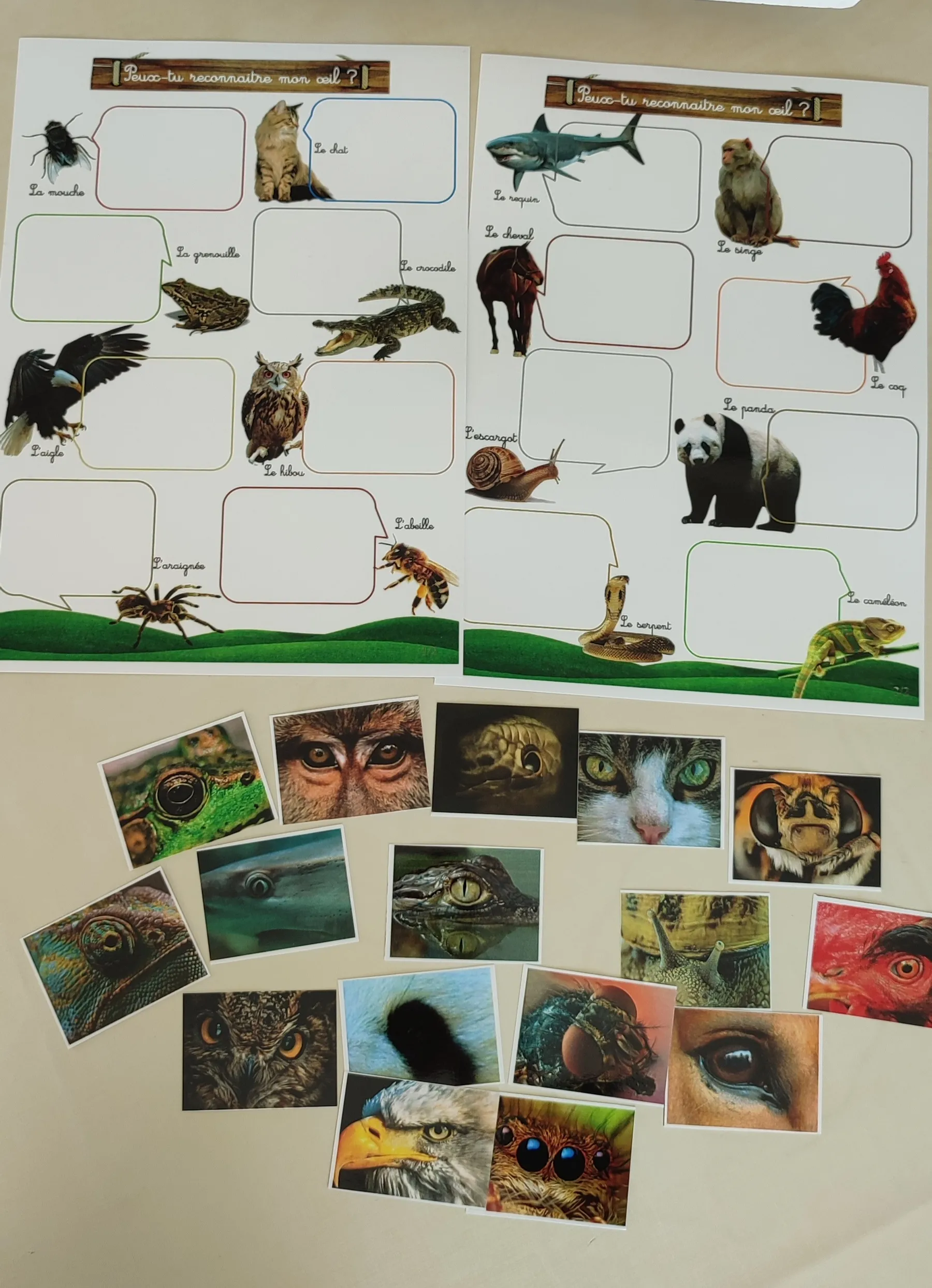 Montessori box des animaux  3-6 ans 