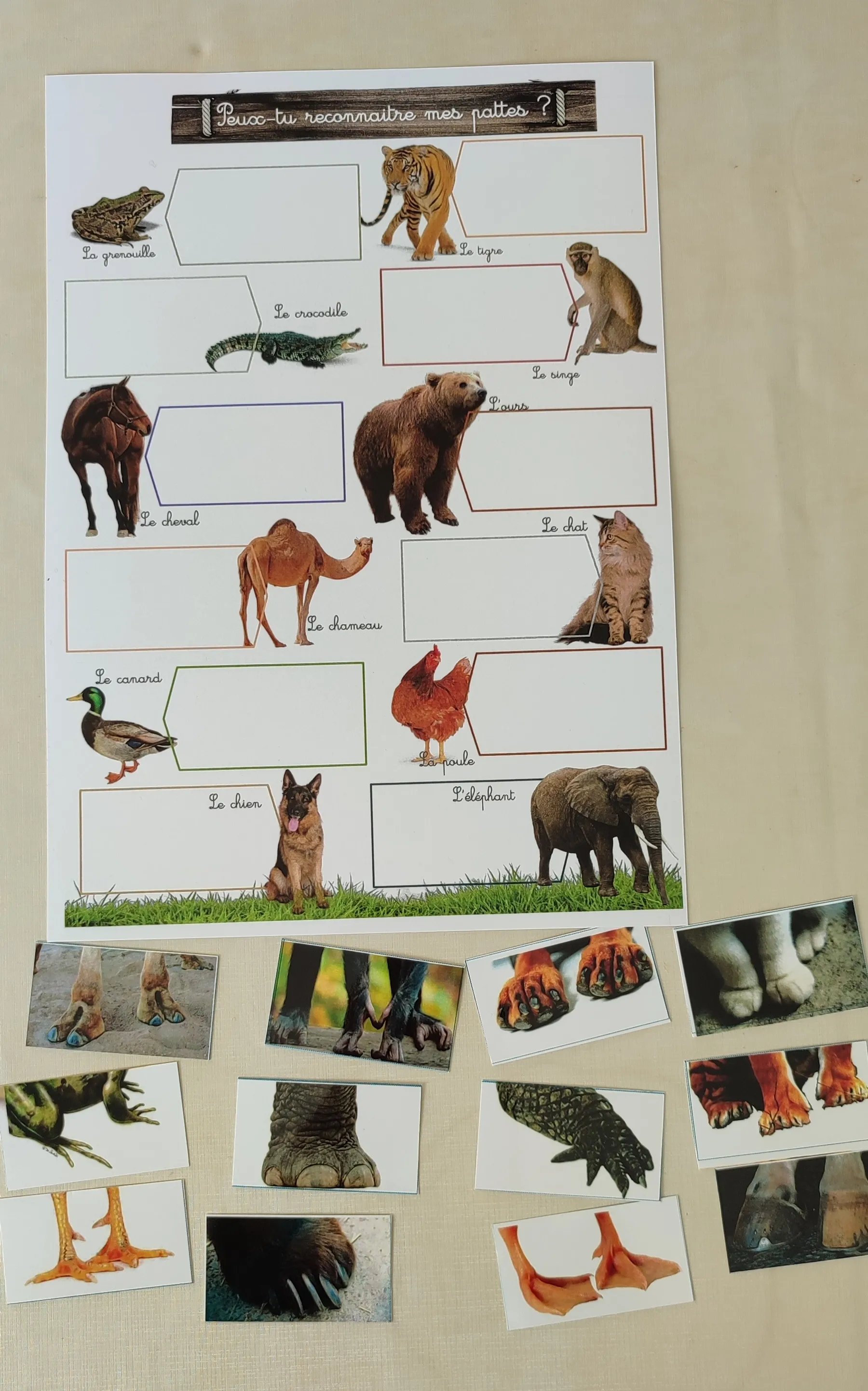 Montessori box des animaux  3-6 ans 