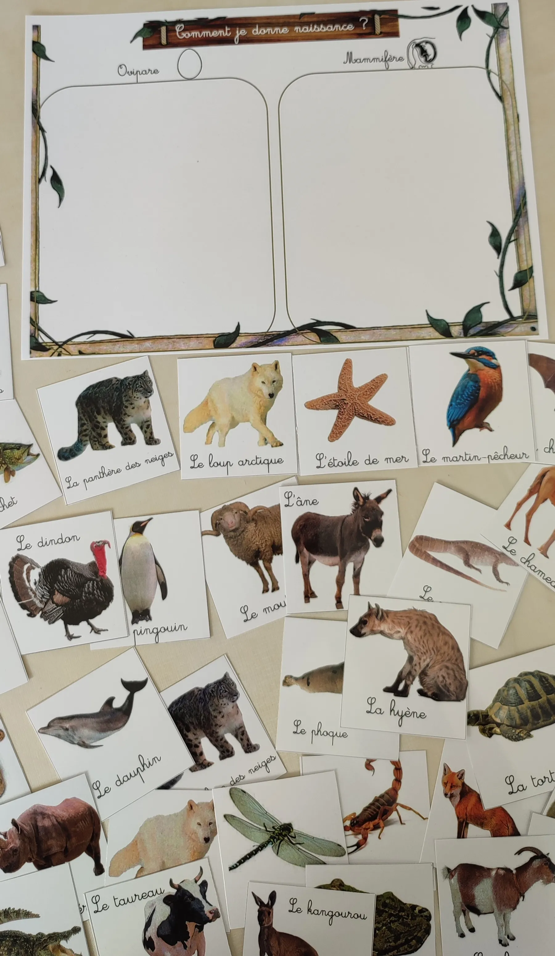 Montessori box des animaux  3-6 ans 