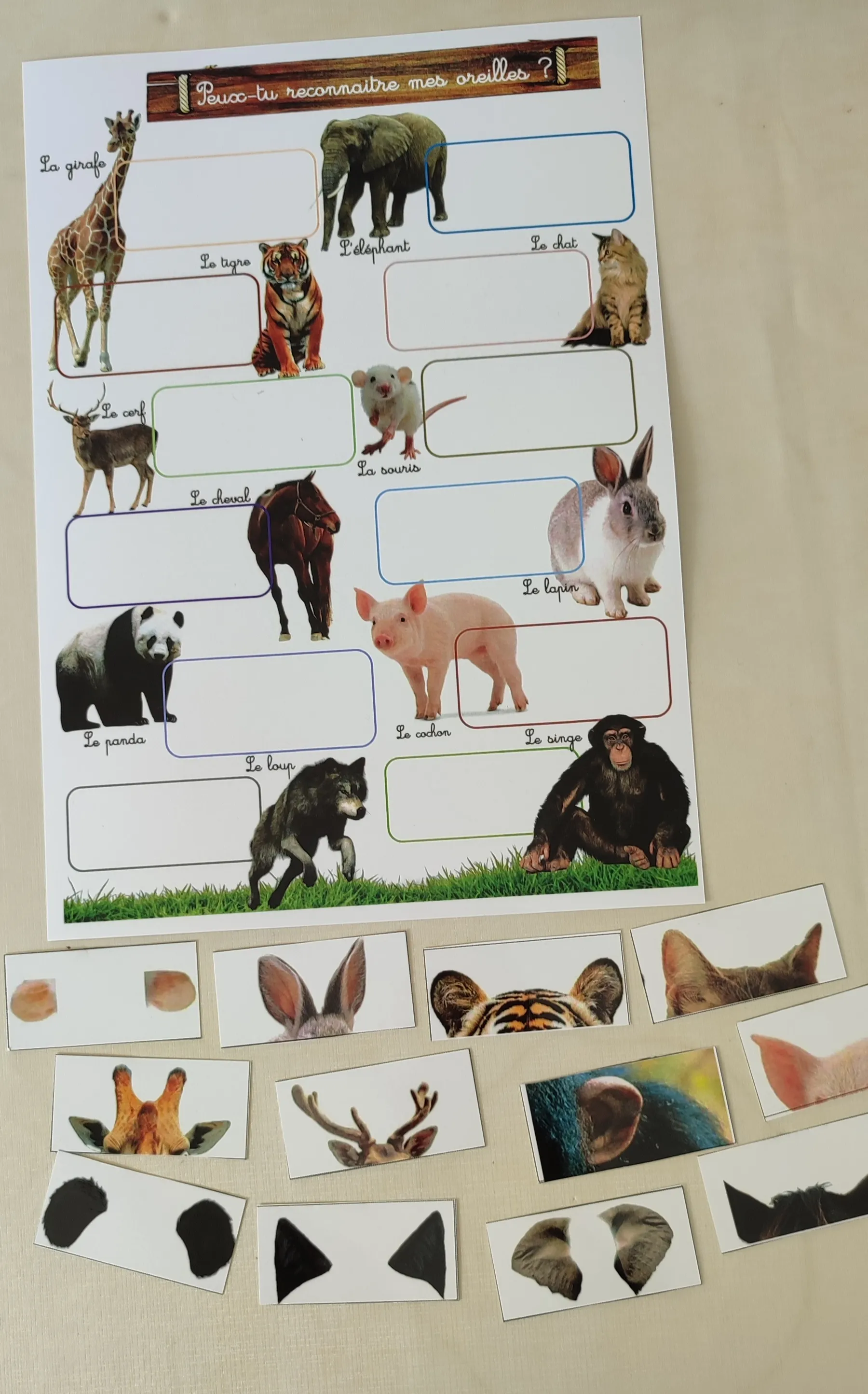 Montessori box des animaux  3-6 ans 