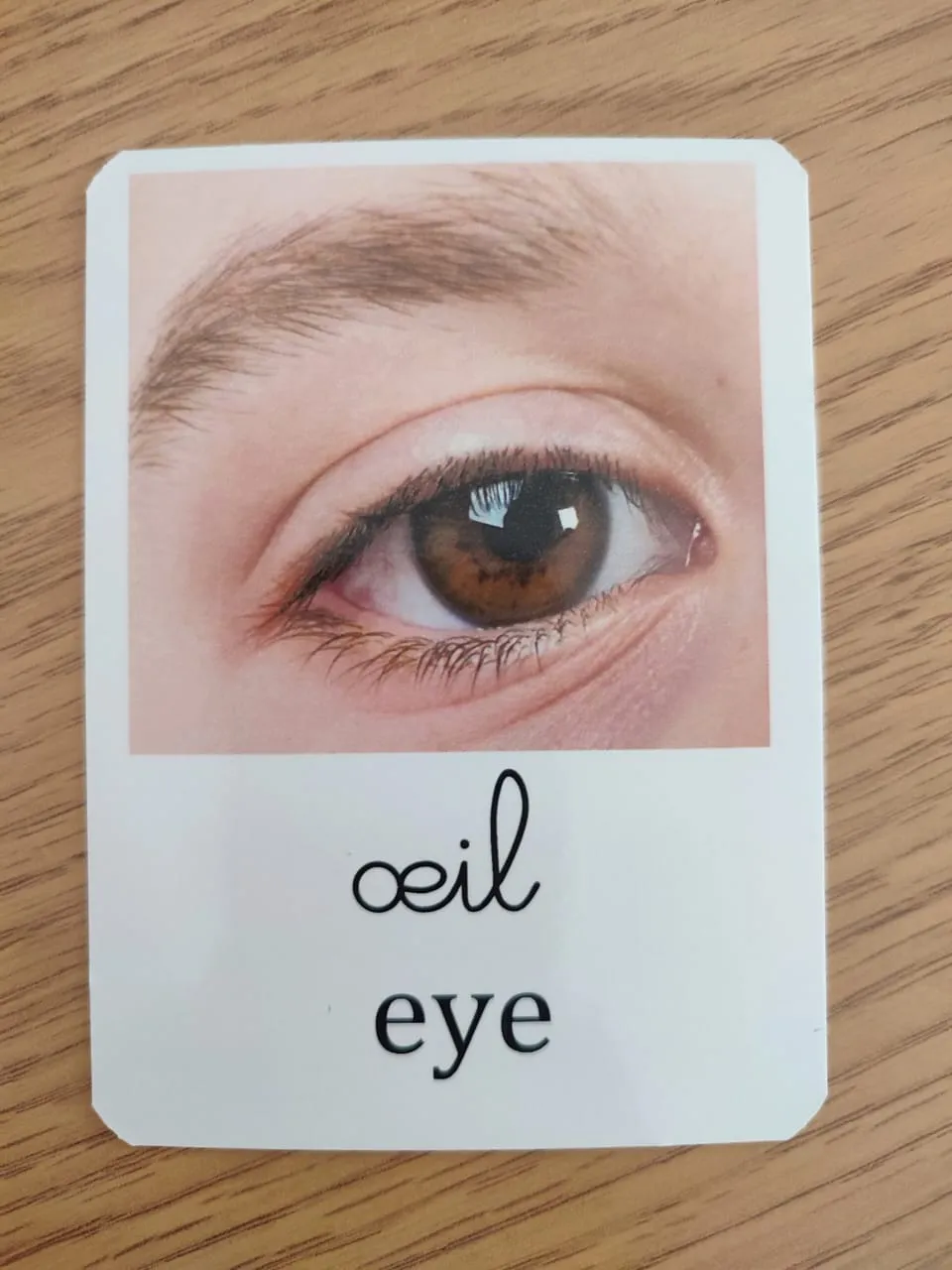 Pack de 200 cartes de nomenclature