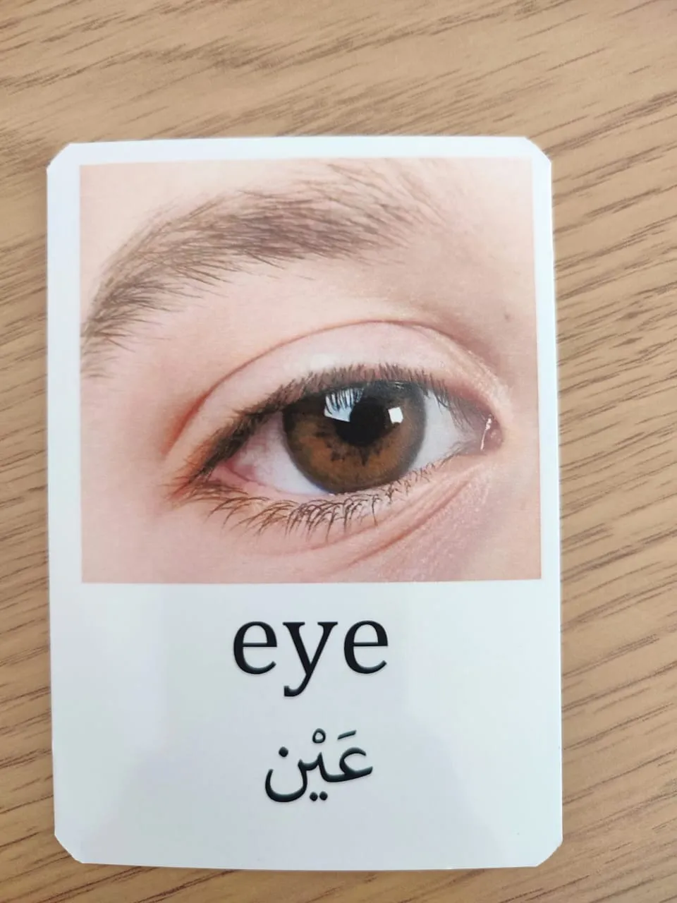 Pack de 200 cartes de nomenclature