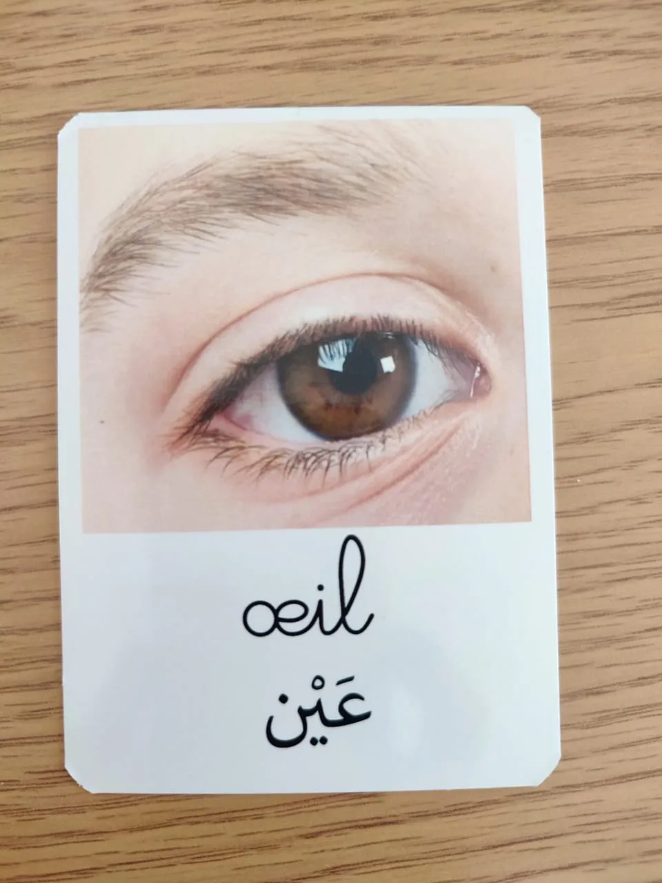 Pack de 200 cartes de nomenclature