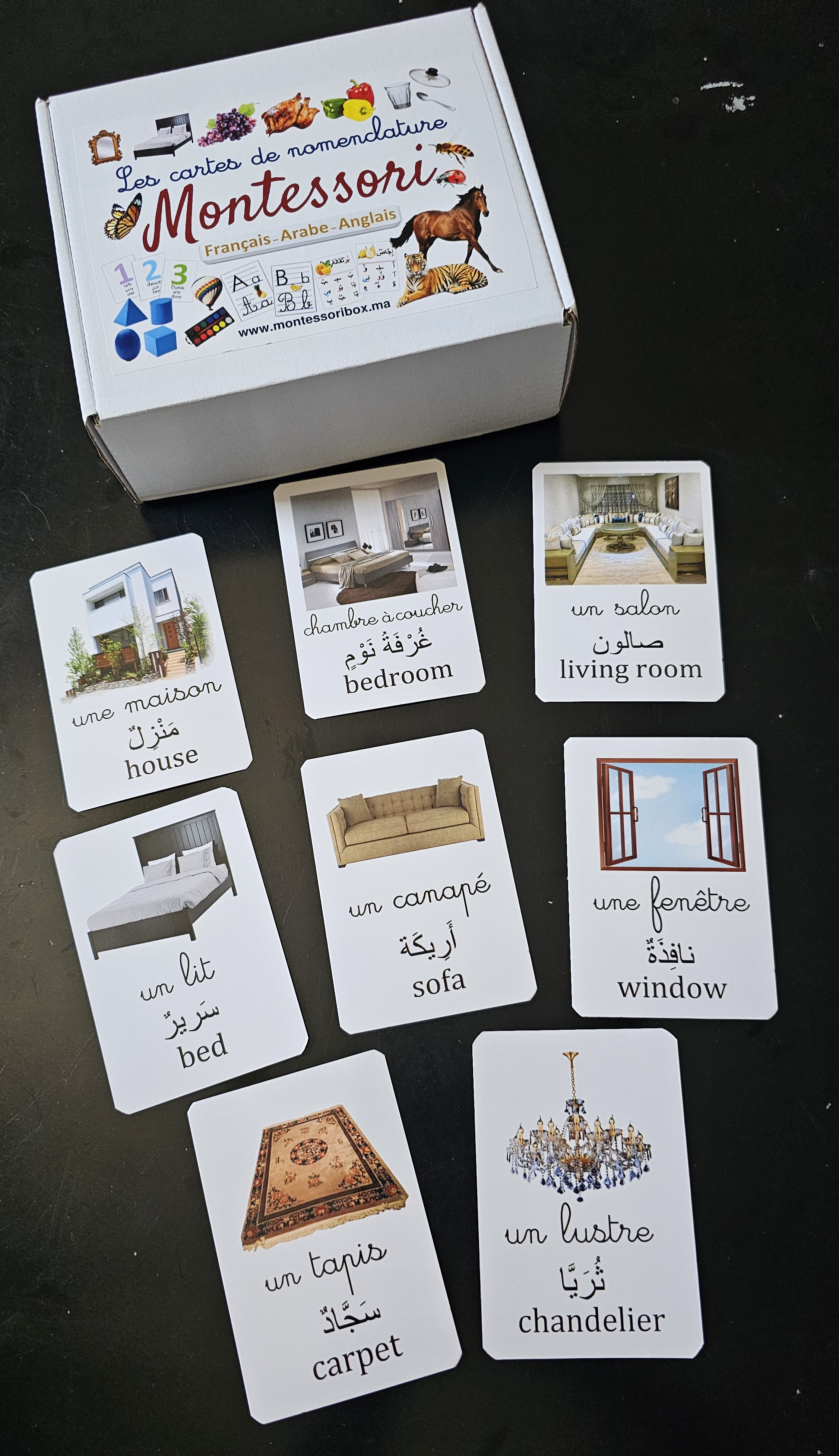 Pack 3 langues, recto verso, 380 images. 190cartes.
