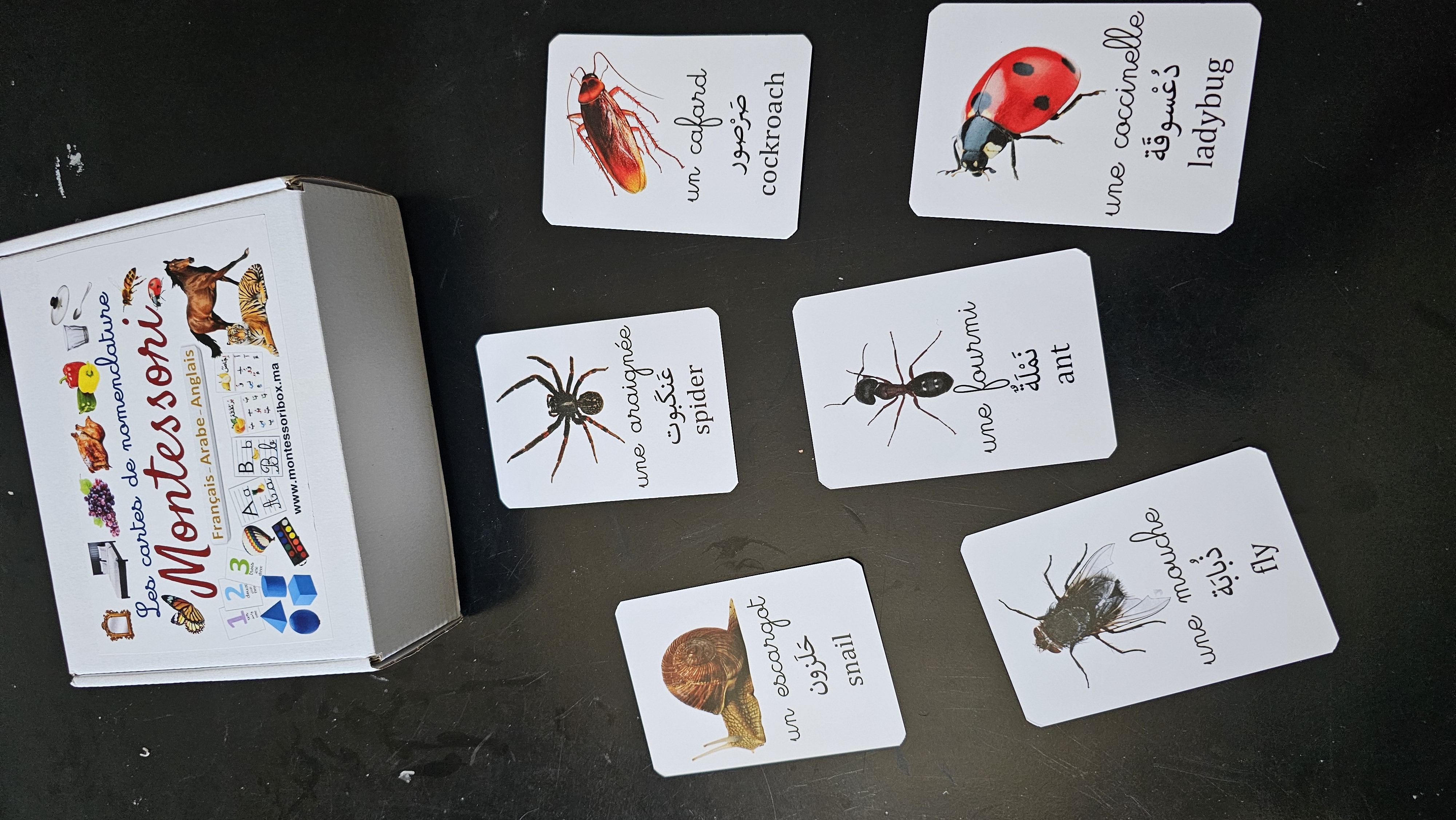 Pack 3 langues, recto verso, 380 images. 190cartes.