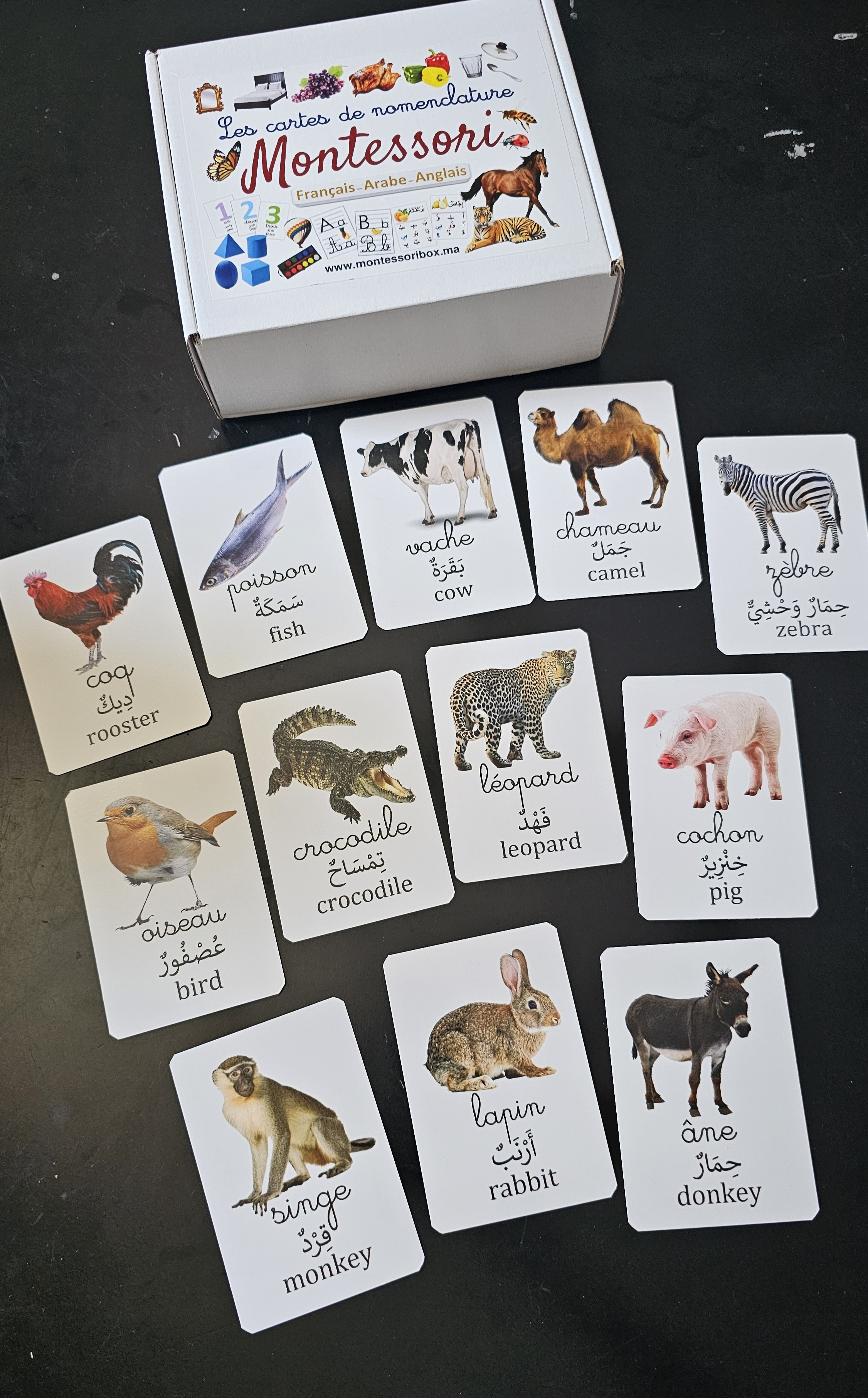 Pack 3 langues, recto verso, 380 images. 190cartes.