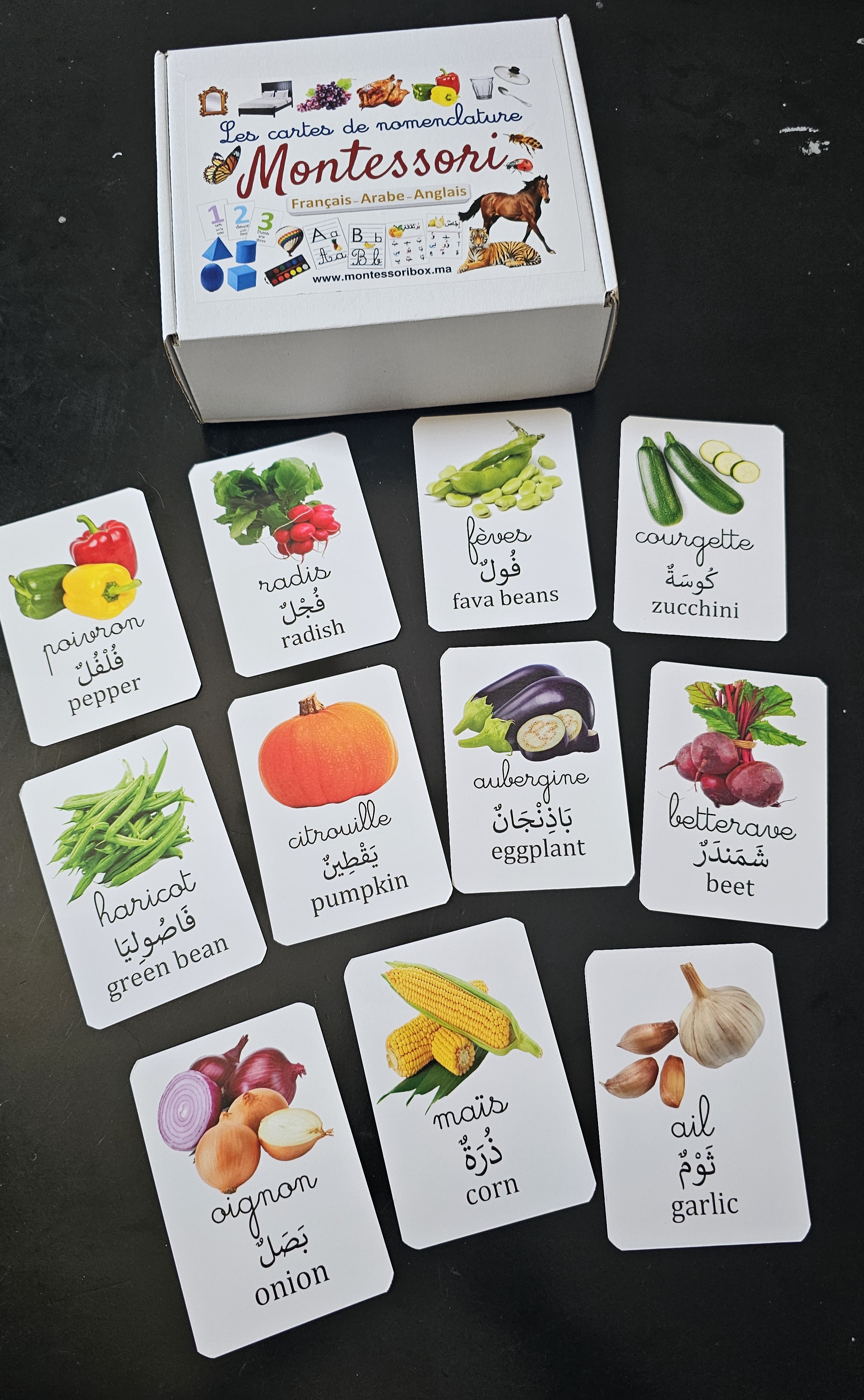Pack 3 langues, recto verso, 380 images. 190cartes.