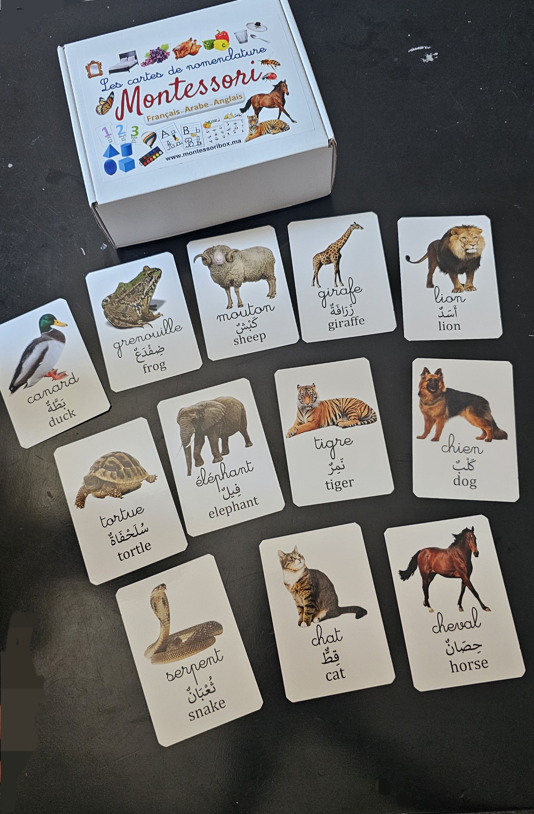 Pack 3 langues, recto verso, 380 images. 190cartes.