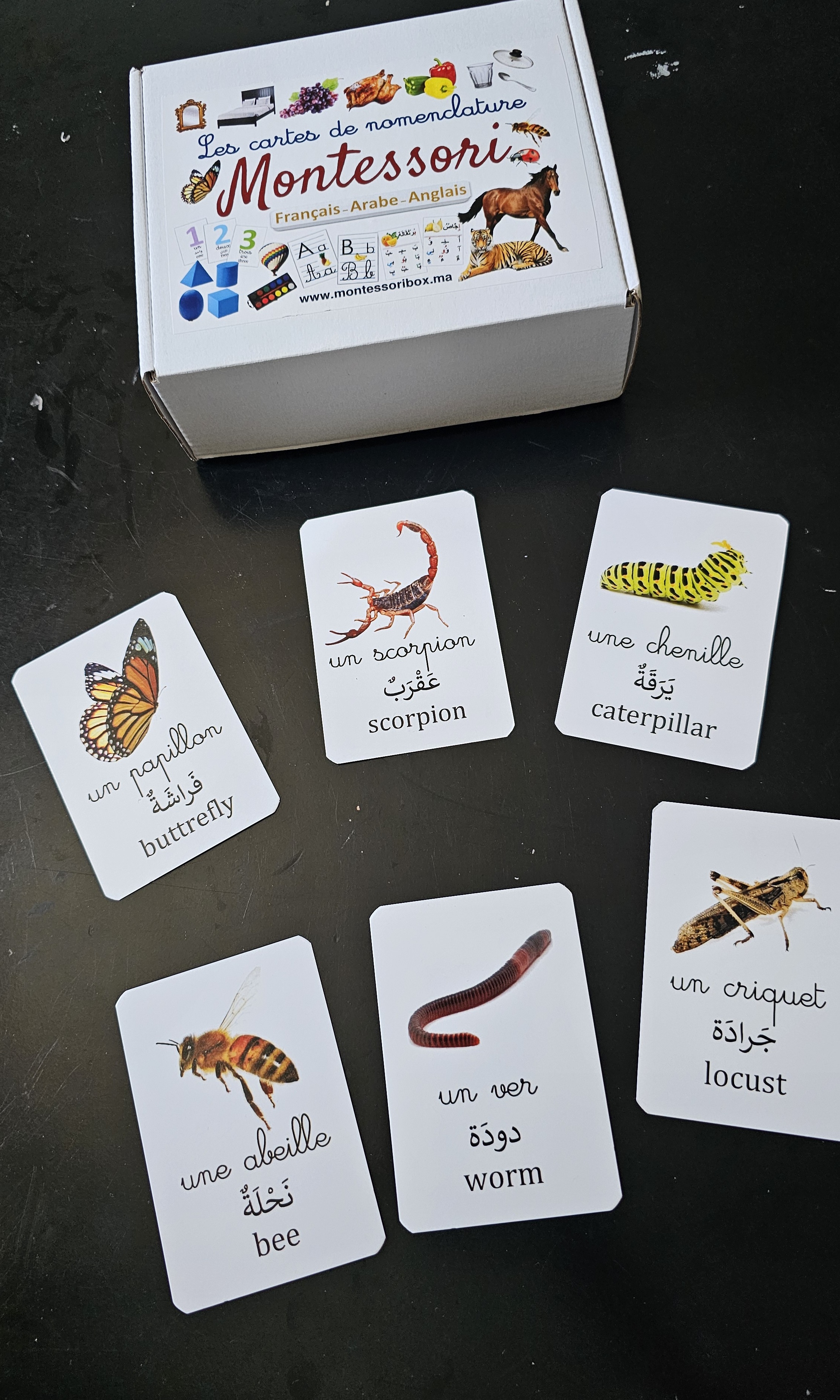 Pack 3 langues, recto verso, 380 images. 190cartes.